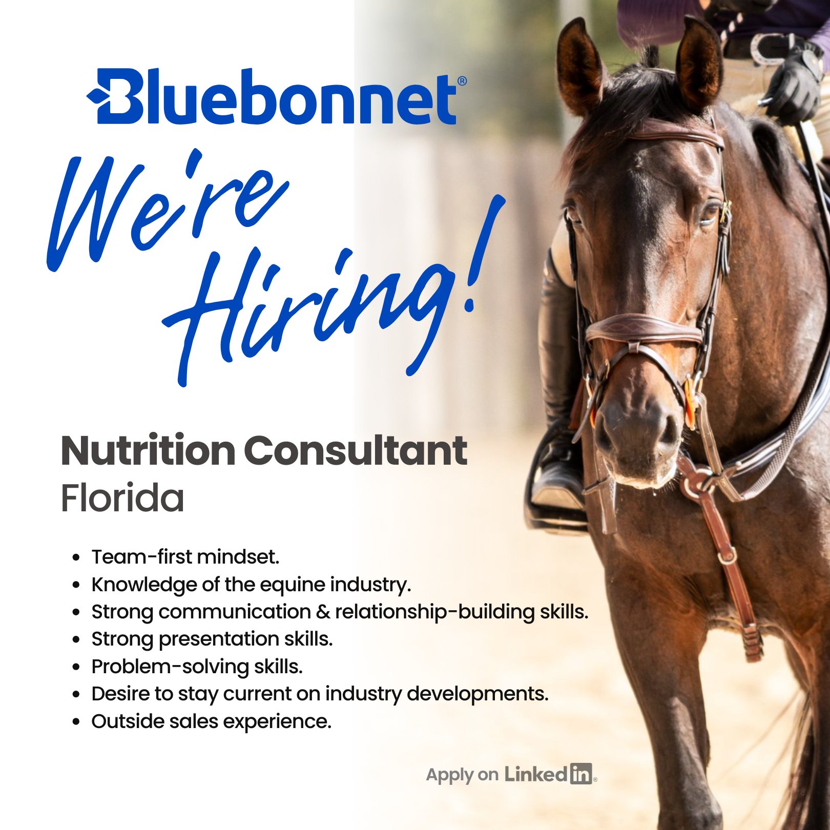 Bluebonnet Facebook ad