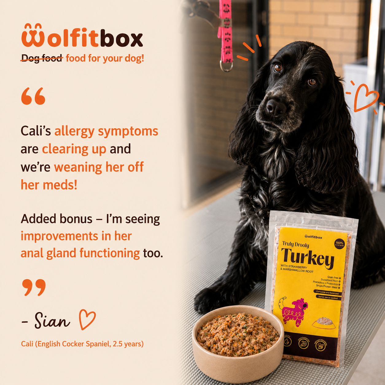 Wolfit Box Facebook ad: Get 30% Off Your First Wolfit Box When You Sign-Up