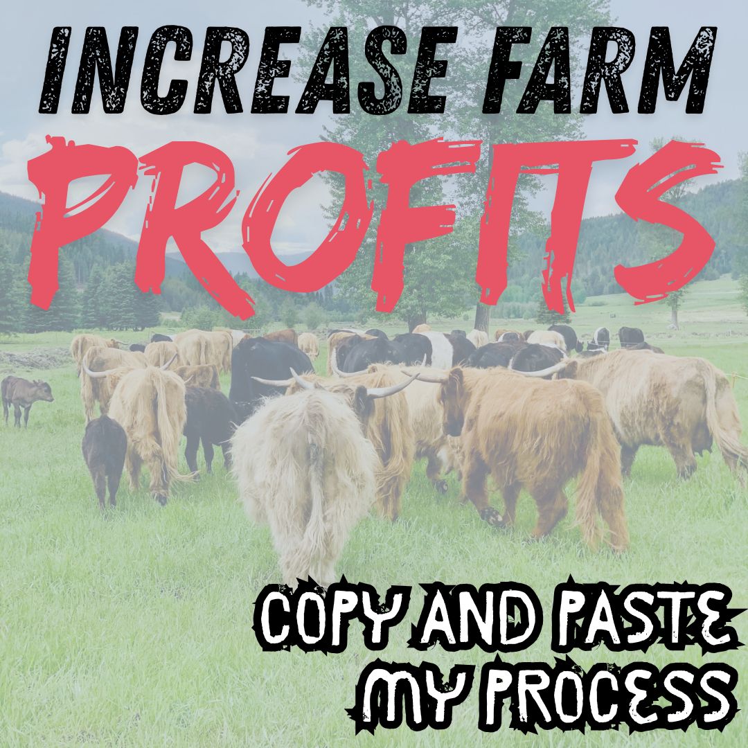 Sell Beef Direct Facebook ad