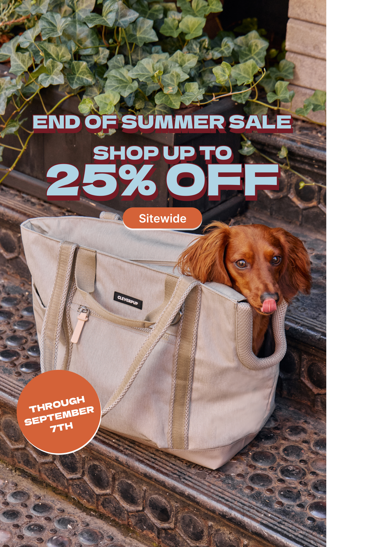 Cleverpup Facebook ad