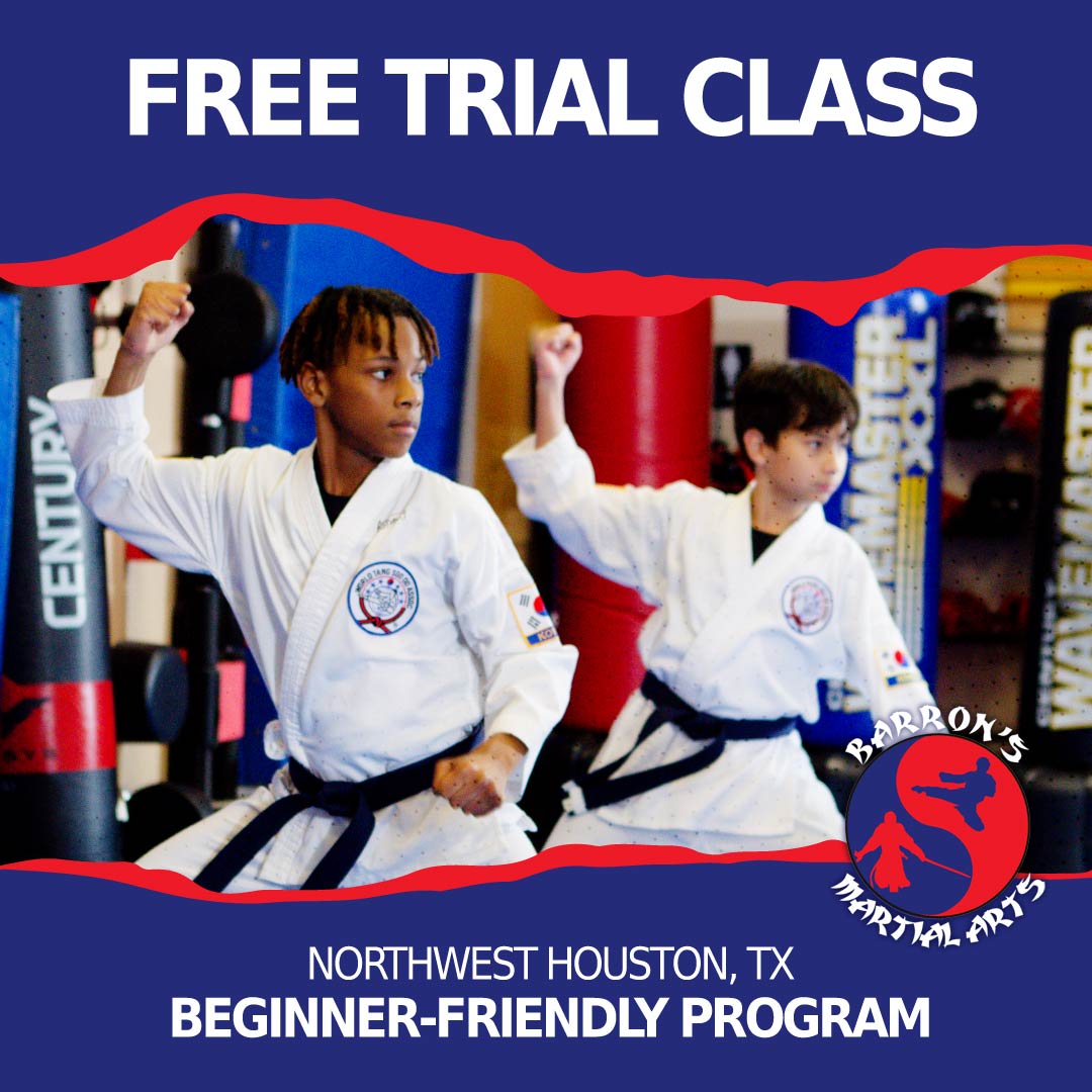 Barron's Martial Arts Facebook ad