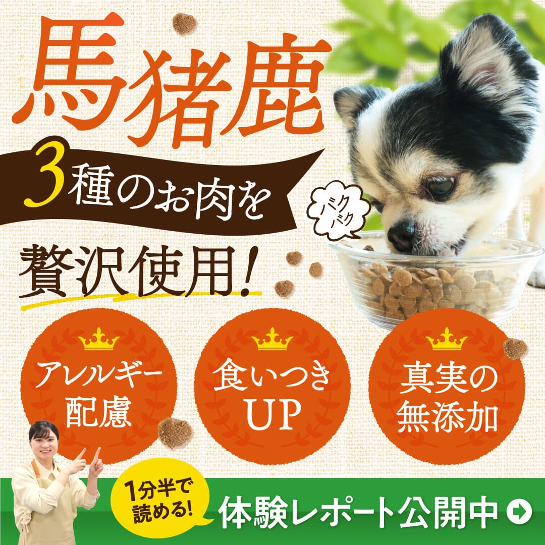 健康いぬ生活 Facebook ad