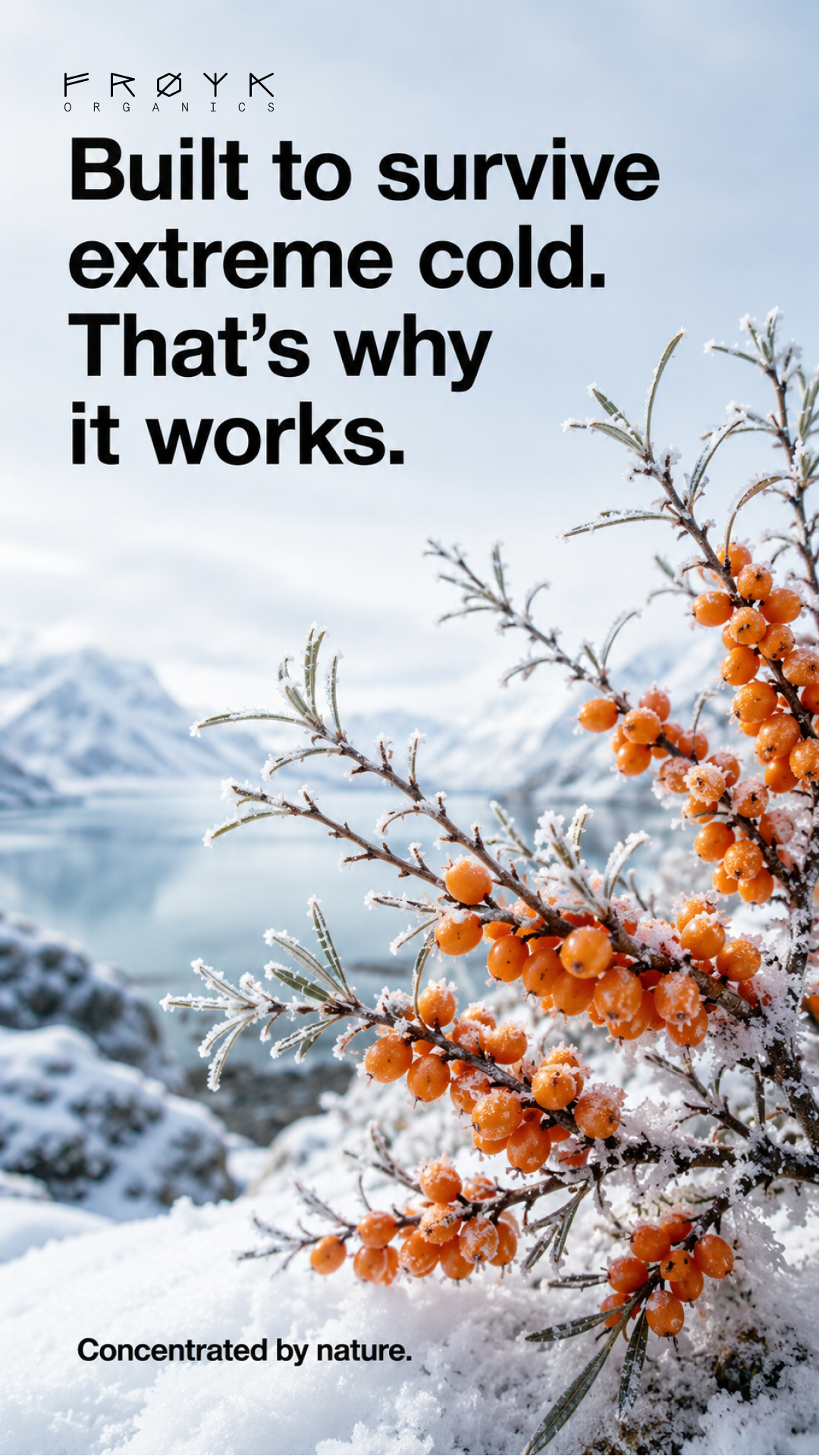 Nordic Wellness Secrets Facebook ad