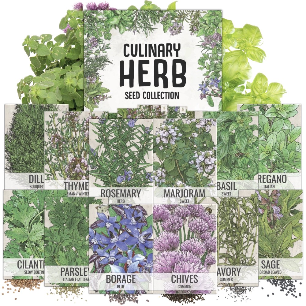Seed Needs Facebook ad: Culinary Herb Seed Packet Collection - Seed Needs