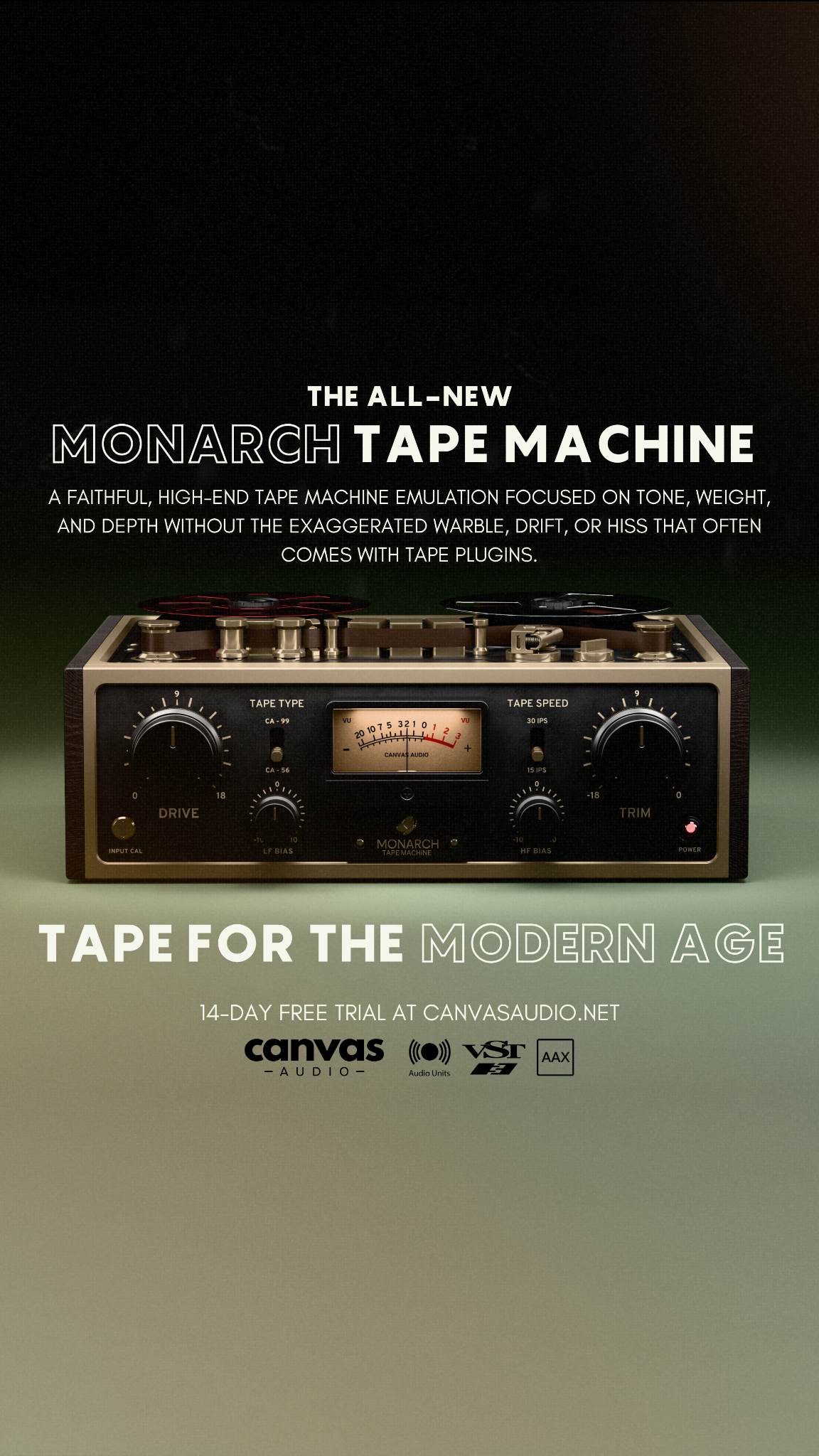 Canvas Audio Facebook ad