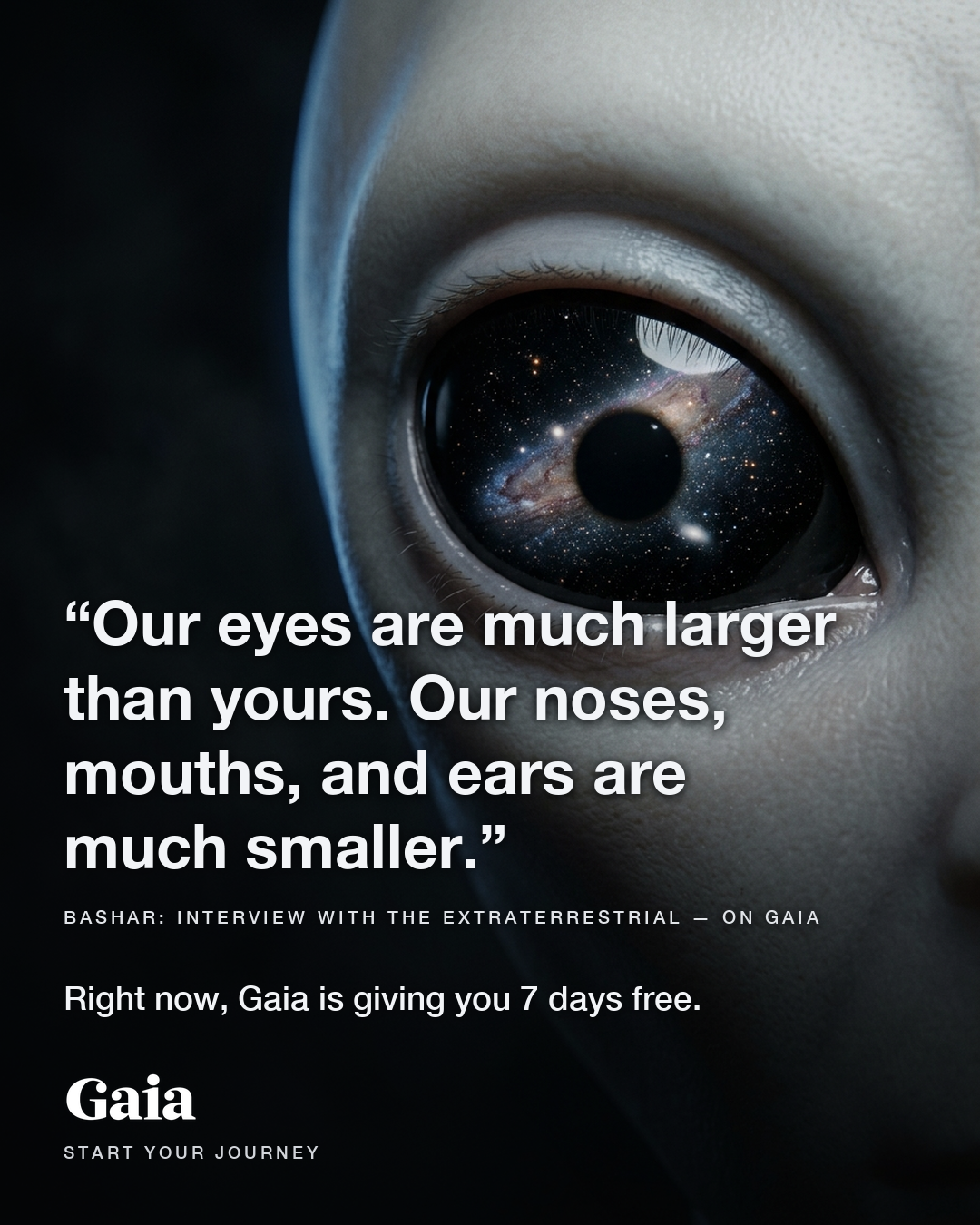 Gaia Facebook ad