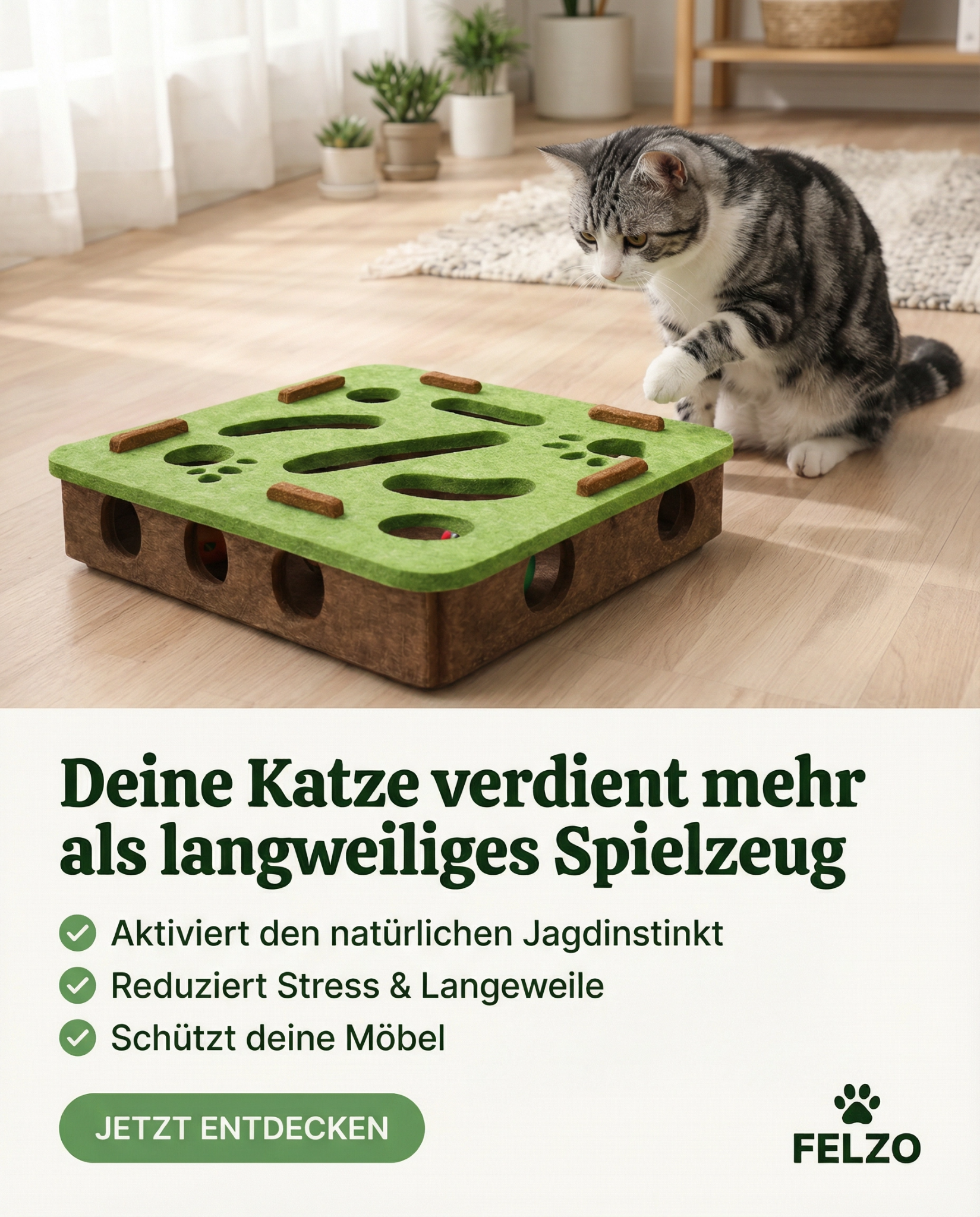 Felzo Facebook ad: Deine Katze braucht kein neues Spielzeug. Sie braucht das…