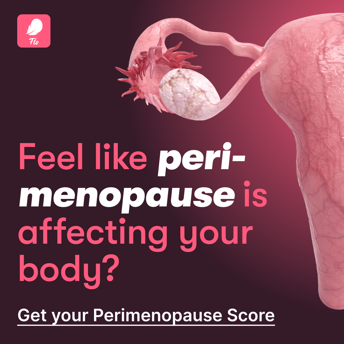 Flo For Perimenopause Facebook ad