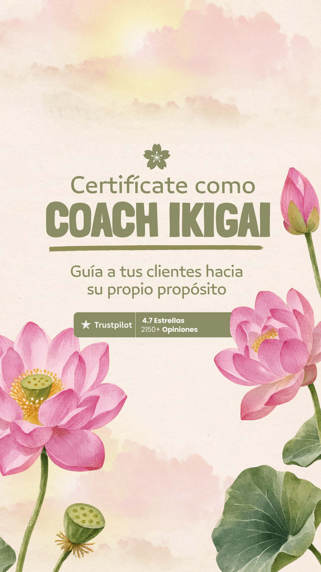 Efficient Coach Facebook ad: Coaching de Ikigai