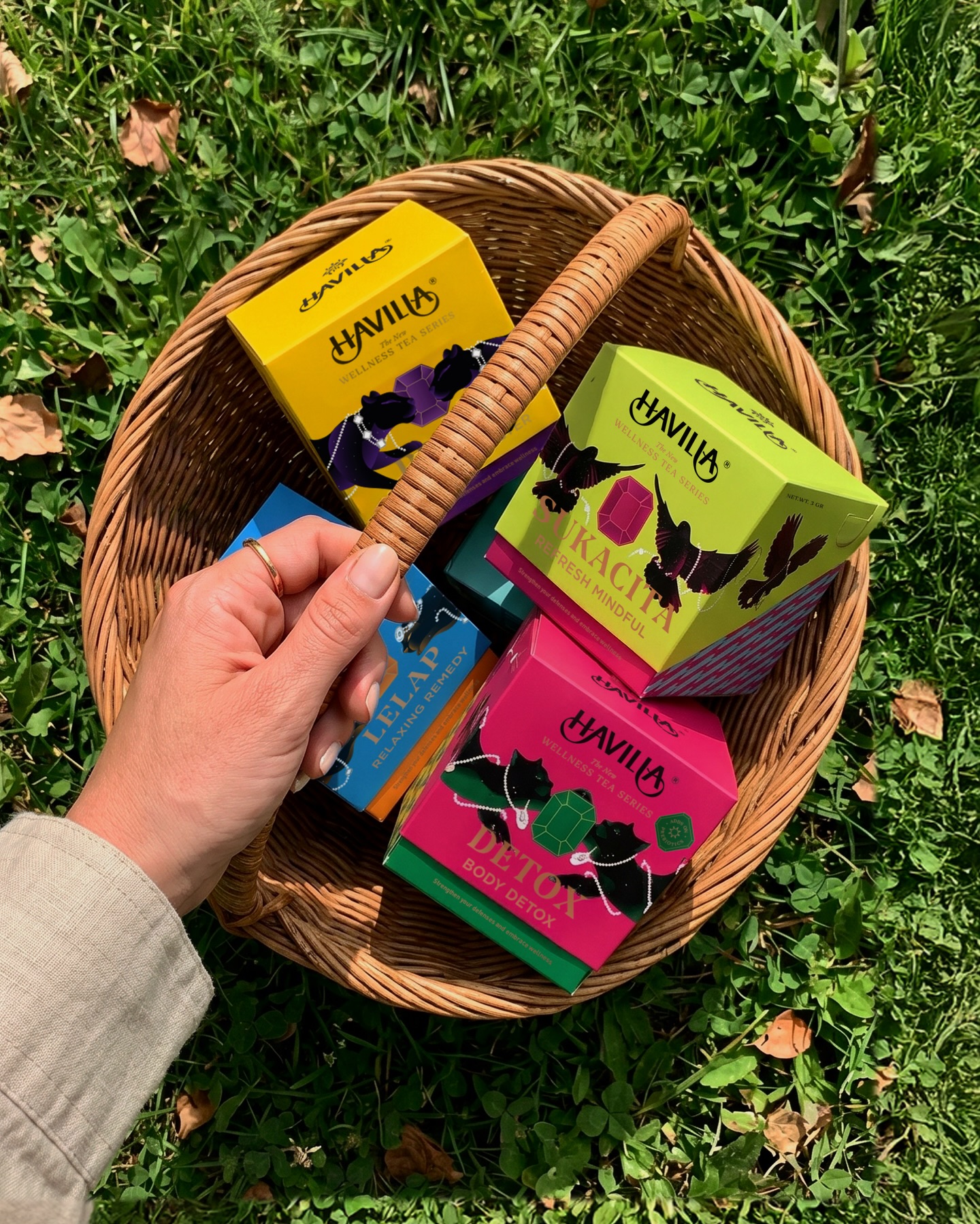 Havilla_Tea Facebook ad: Introducing the phase 1 of Havilla Wellness Series!