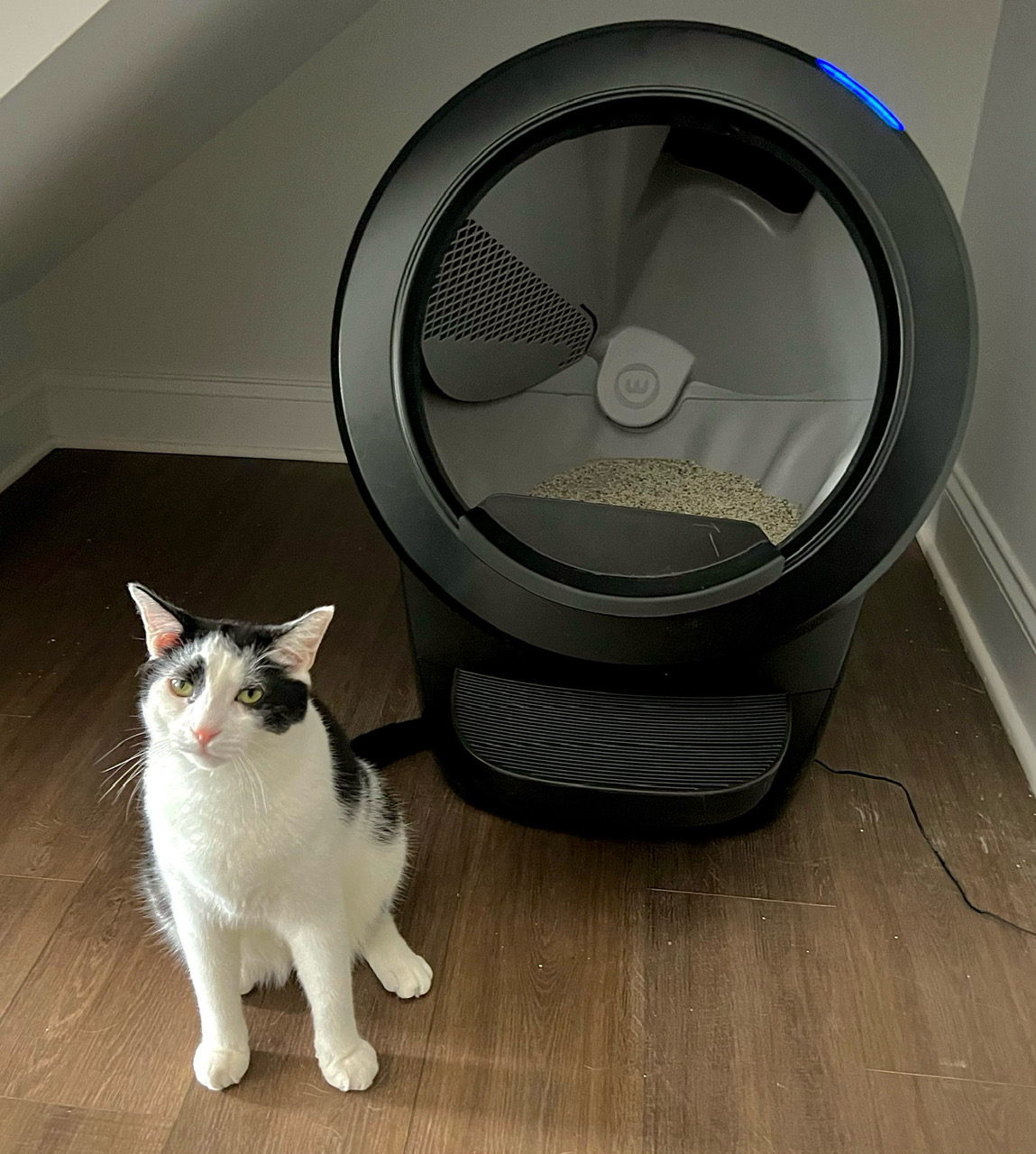 Litter-Robot by Whisker Facebook ad