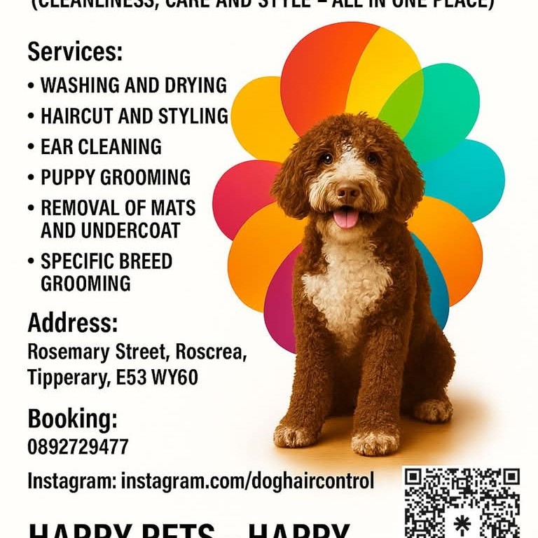 Dog Hair Control Facebook ad: doghaircontrol | Instagram, Facebook | Linktree