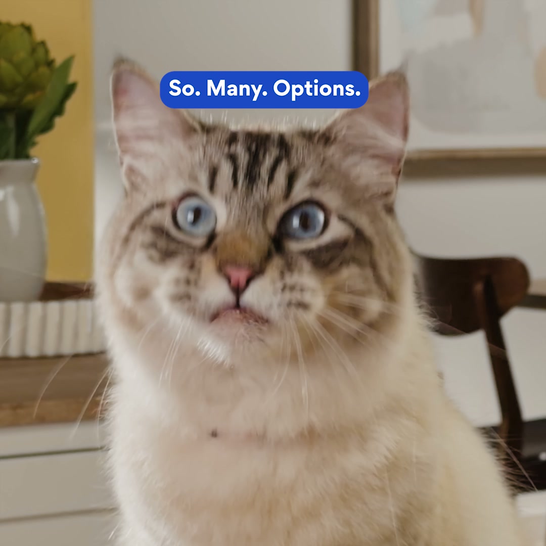 Chewy Facebook ad: Fancy Feast for every occasion