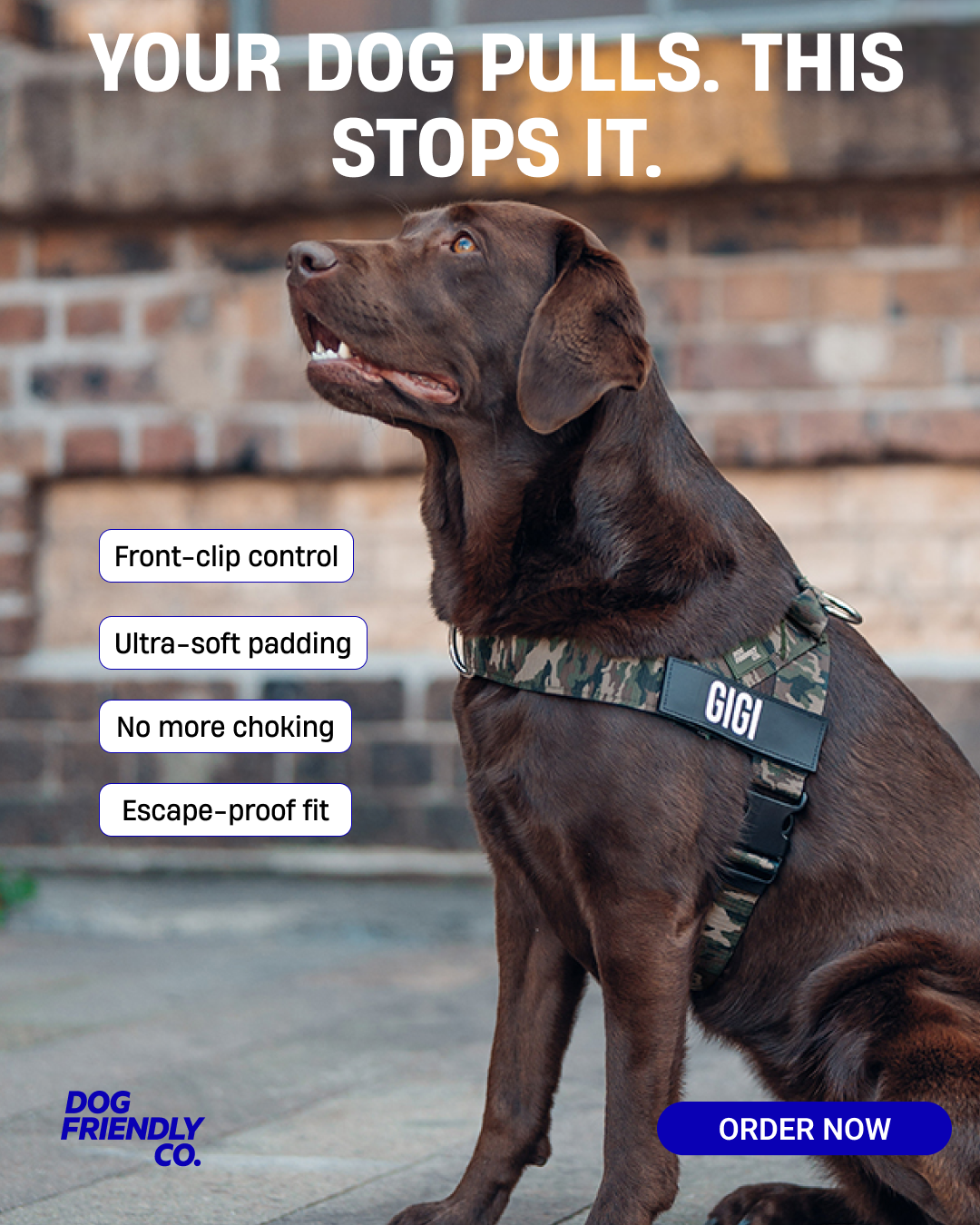 Dog Friendly Co. Facebook ad