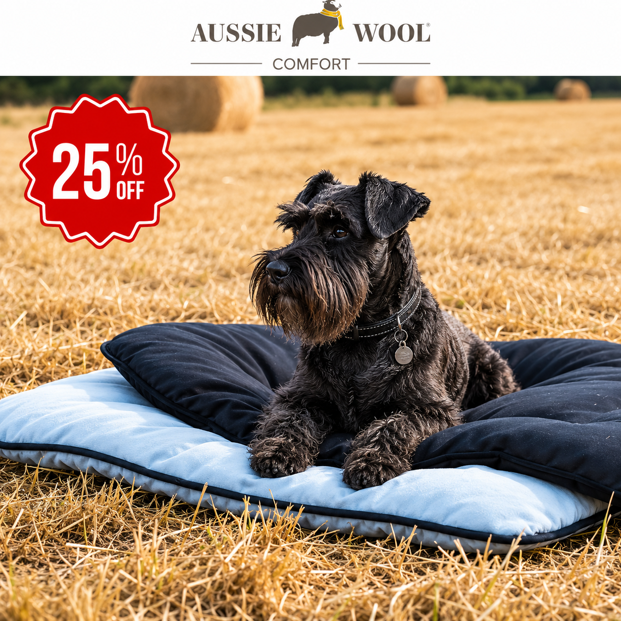 Aussie Wool Comfort Facebook ad