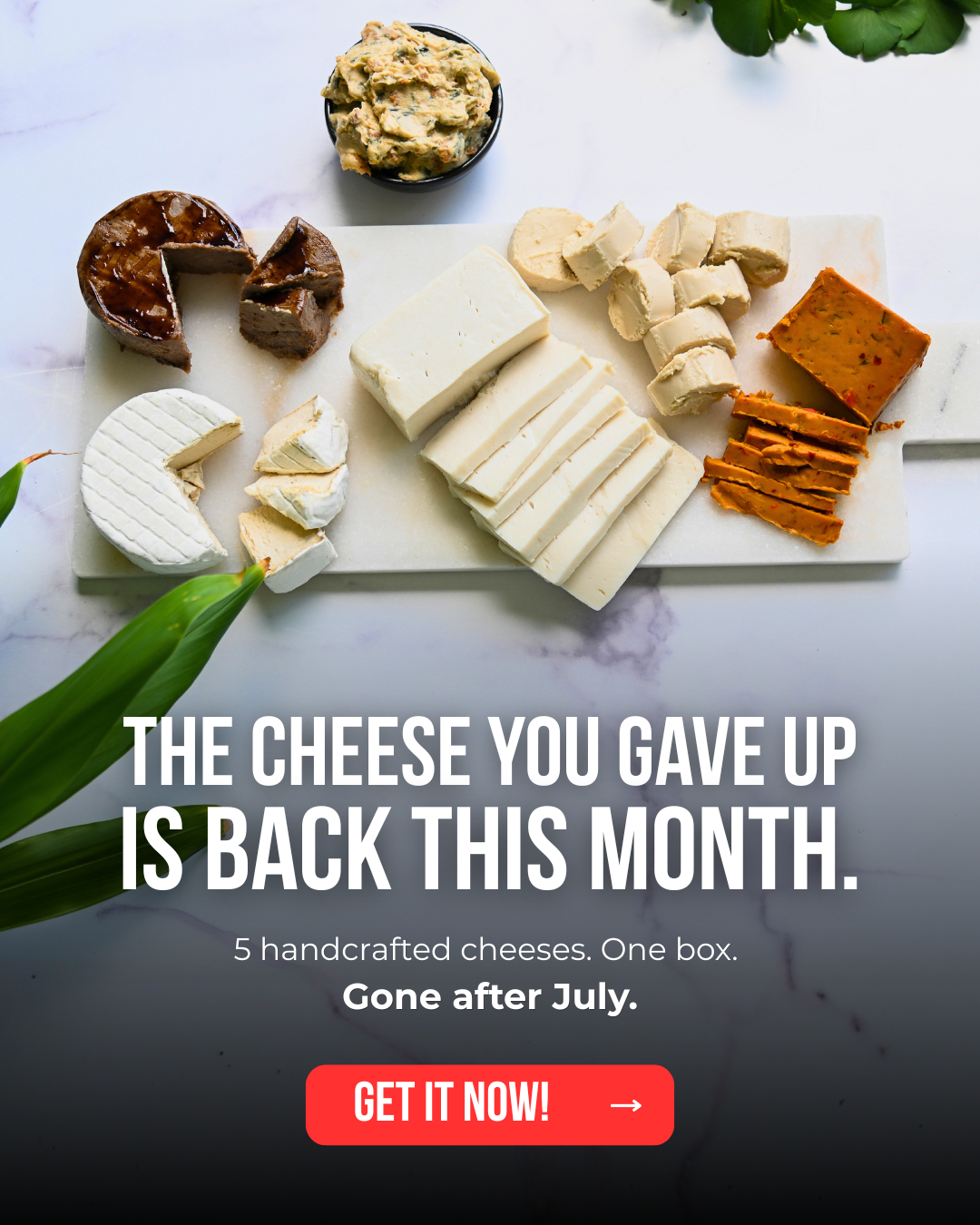 Rebel Cheese Facebook ad