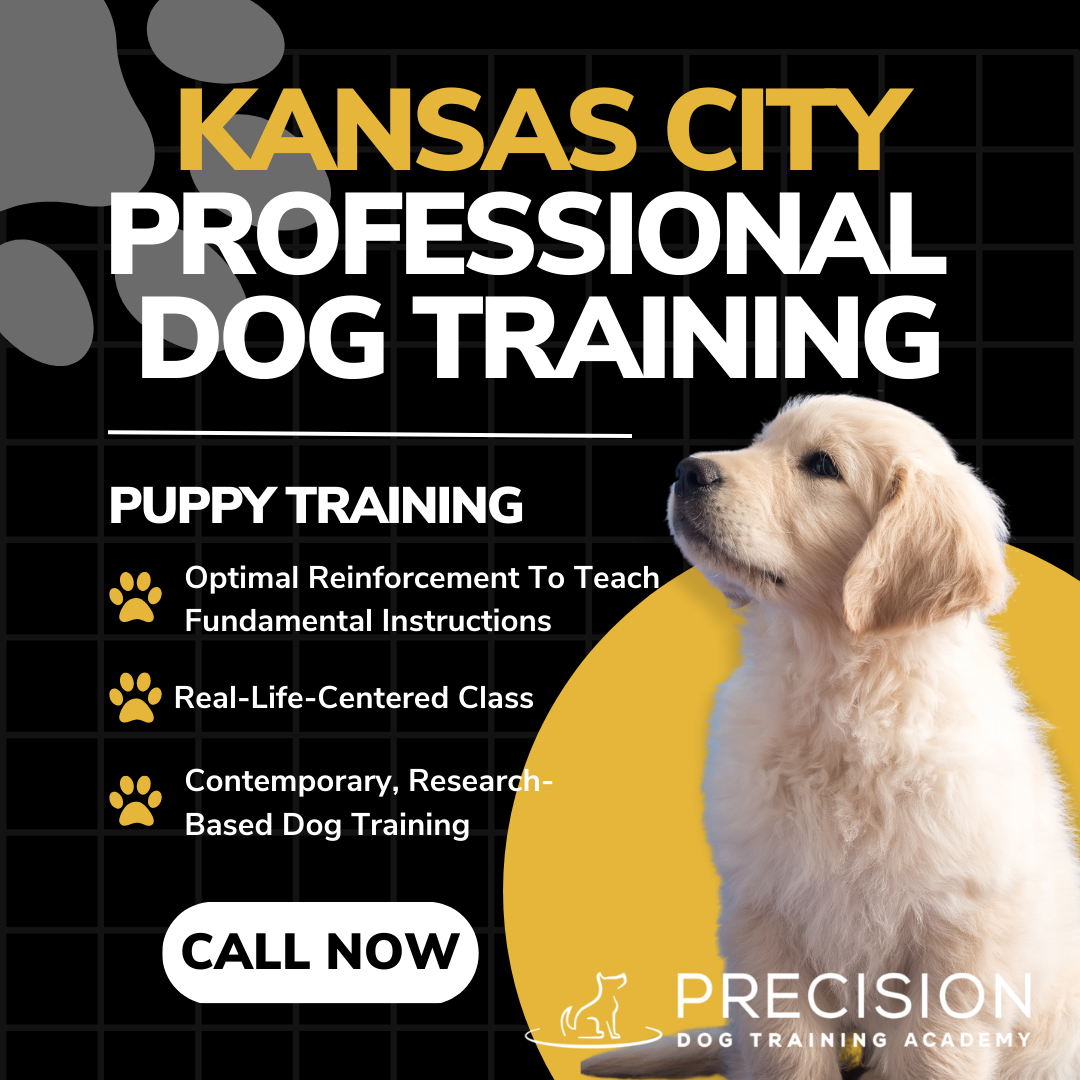 Precision Dog Training Academy Facebook ad