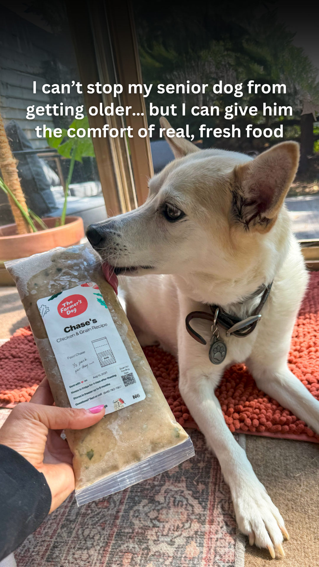 Rounds Of A Paws Facebook ad