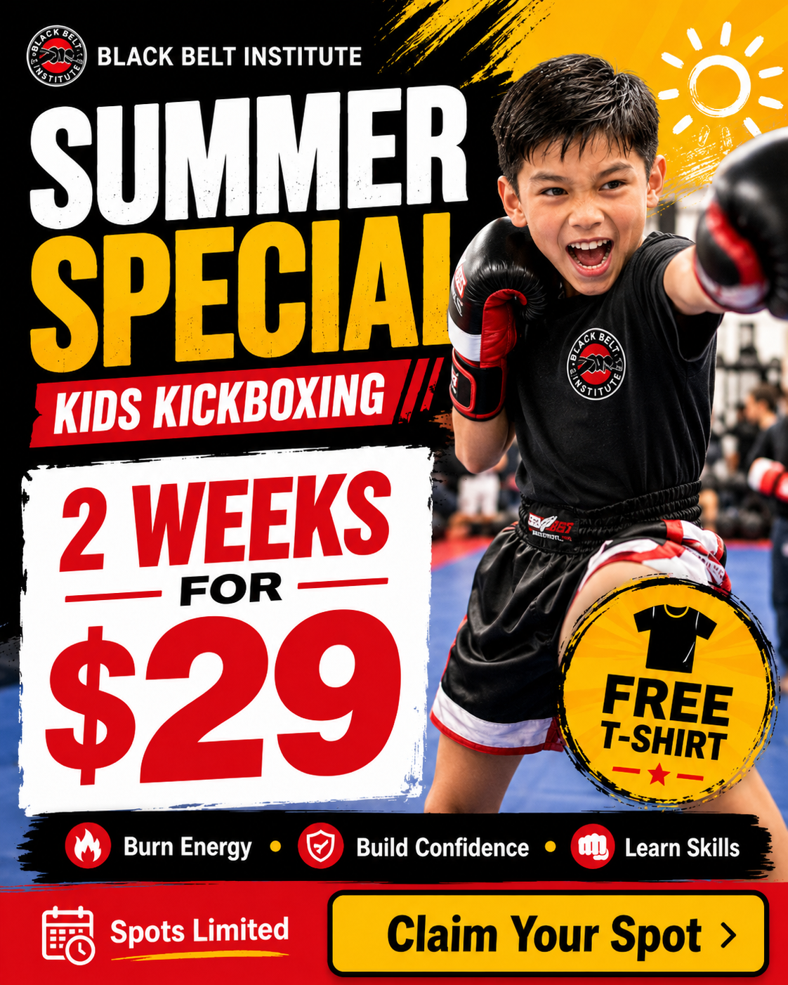 Black Belt Institute Facebook ad