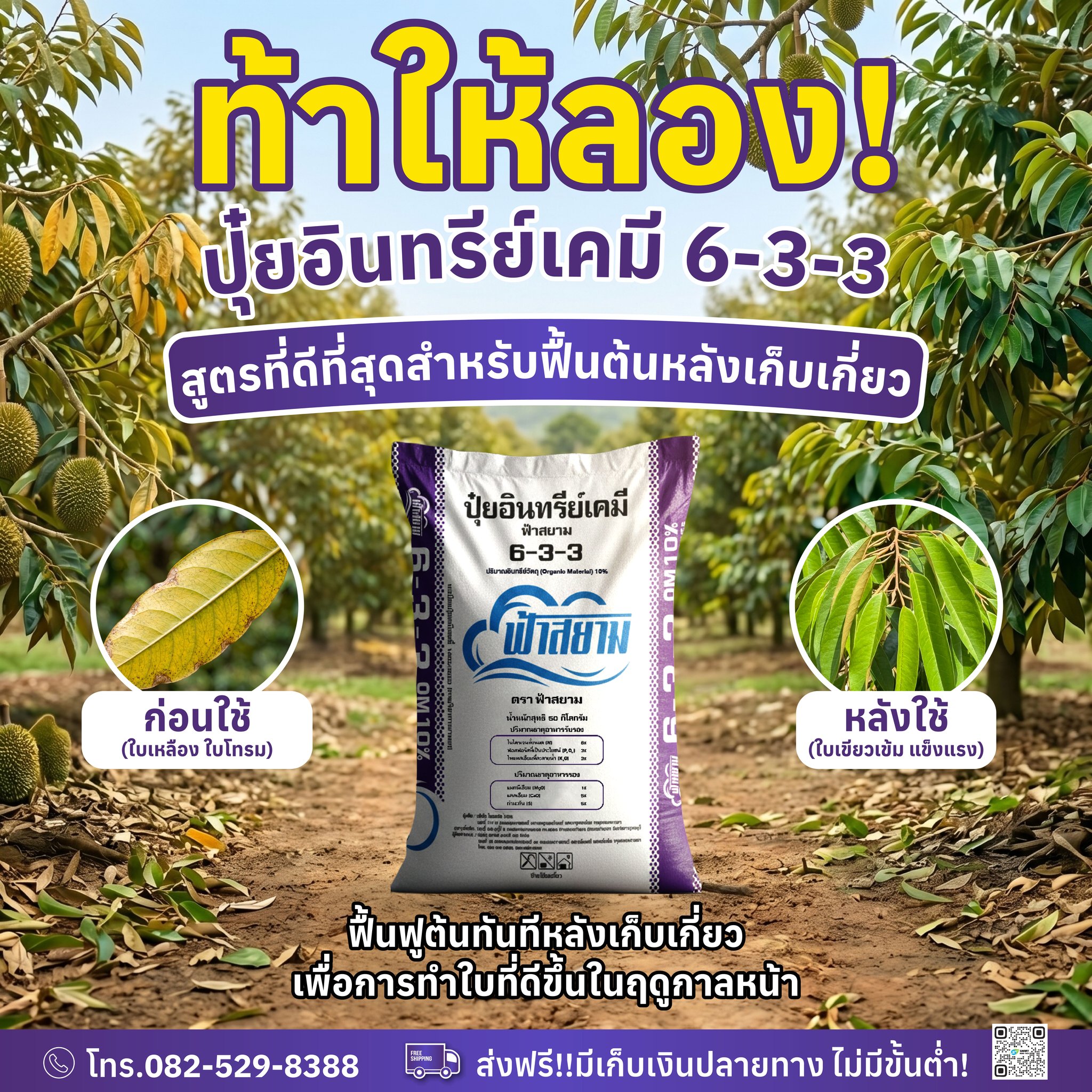 ปุ๋ยตราฟ้าสยาม Facebook ad: ท้าให้ลอง จบปัญหาต้นทุเรียนหลังเก็บเกี่ยว ใบเหลือง ใบโทรม