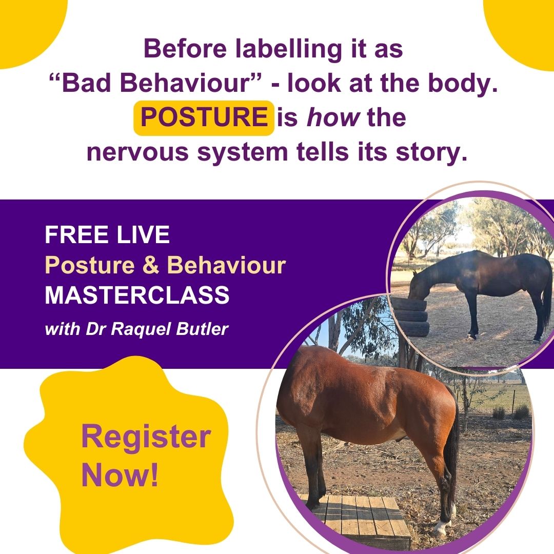 Integrated Veterinary Therapeutics Facebook ad