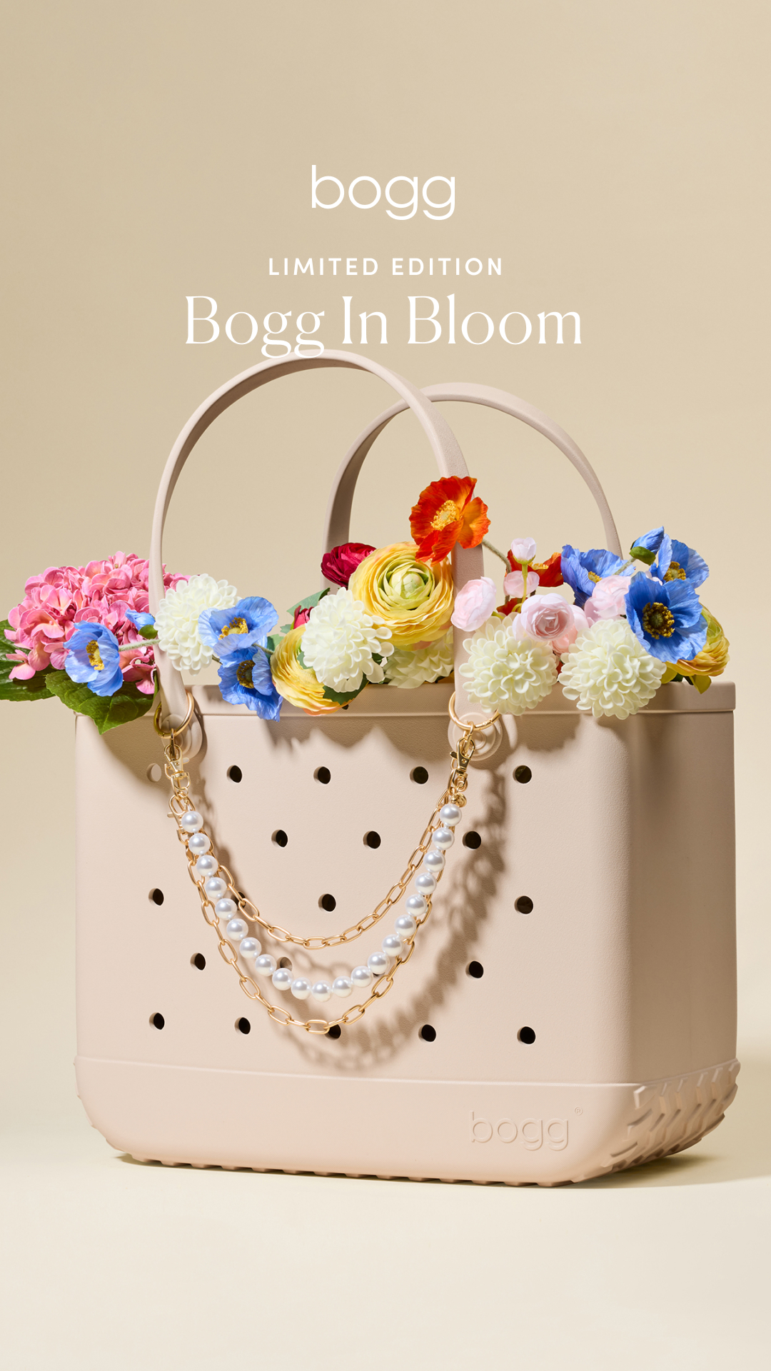 Bogg Bag Facebook ad