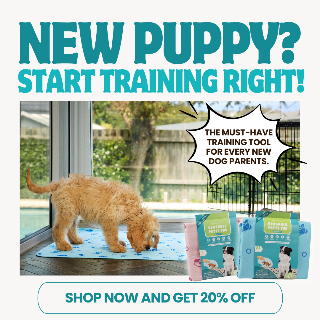 Potty Buddy Facebook ad