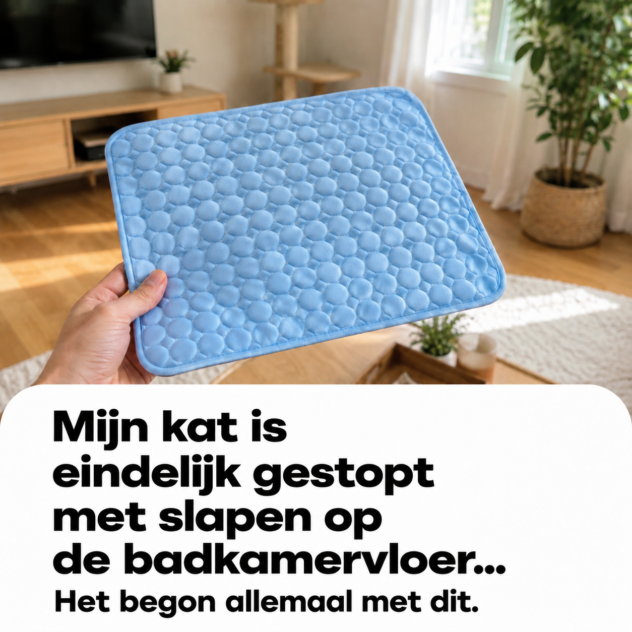 Laura Vermeulen Facebook ad: Heb jij een kat? Lees dit dan goed.