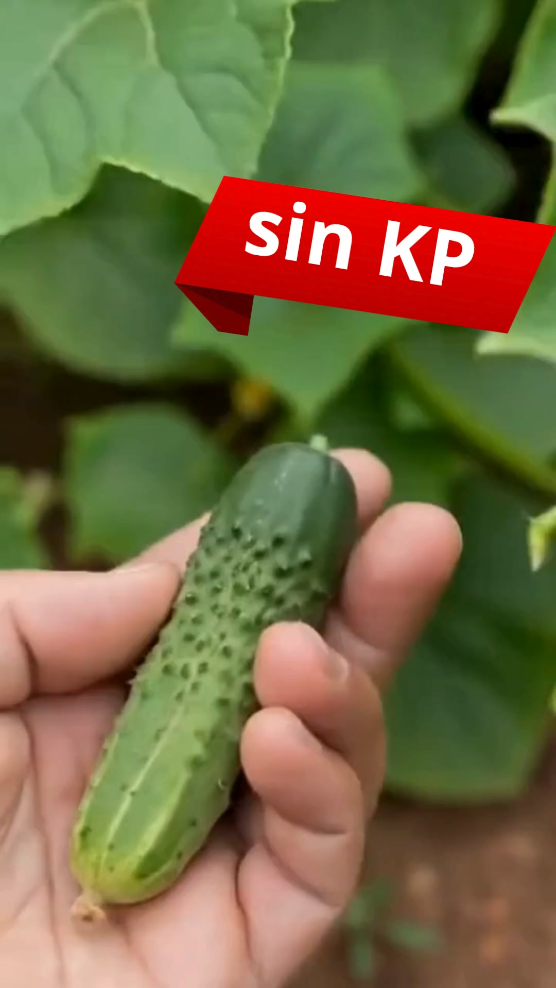 BioNexus Natural Facebook ad: Programa de 4 semanas para el bienestar masculino