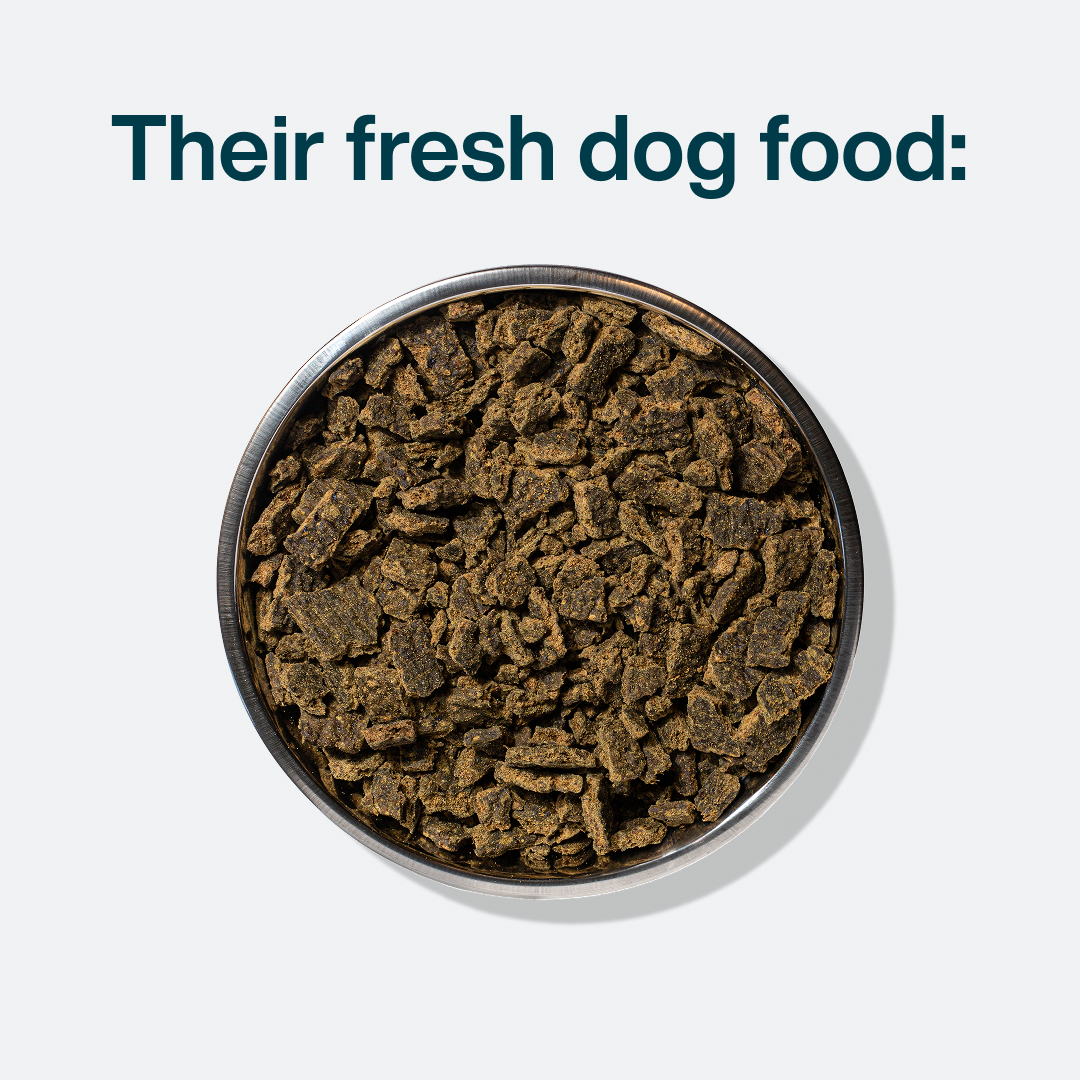 Just Food For Dogs Facebook ad