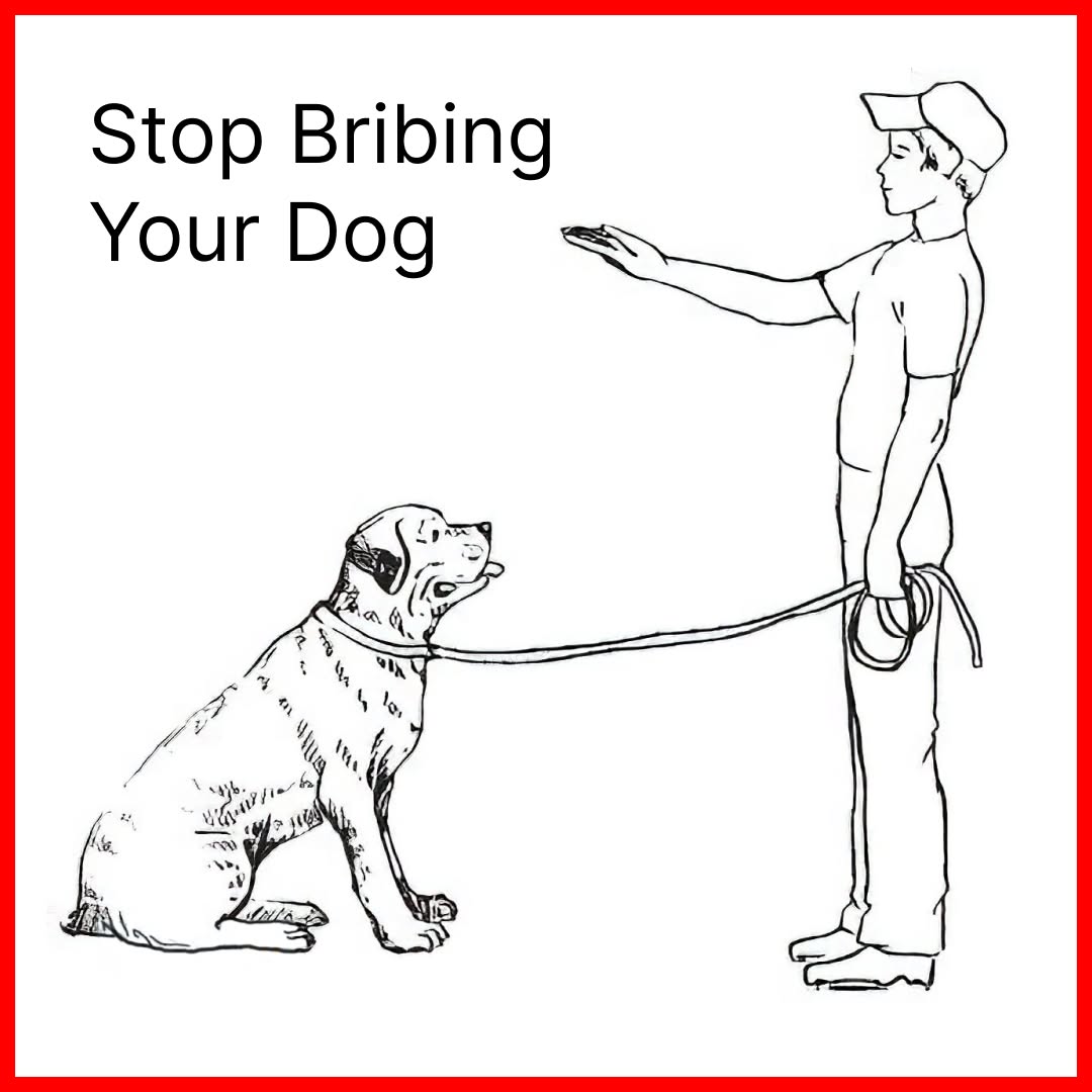 K9 Training Institute Facebook ad