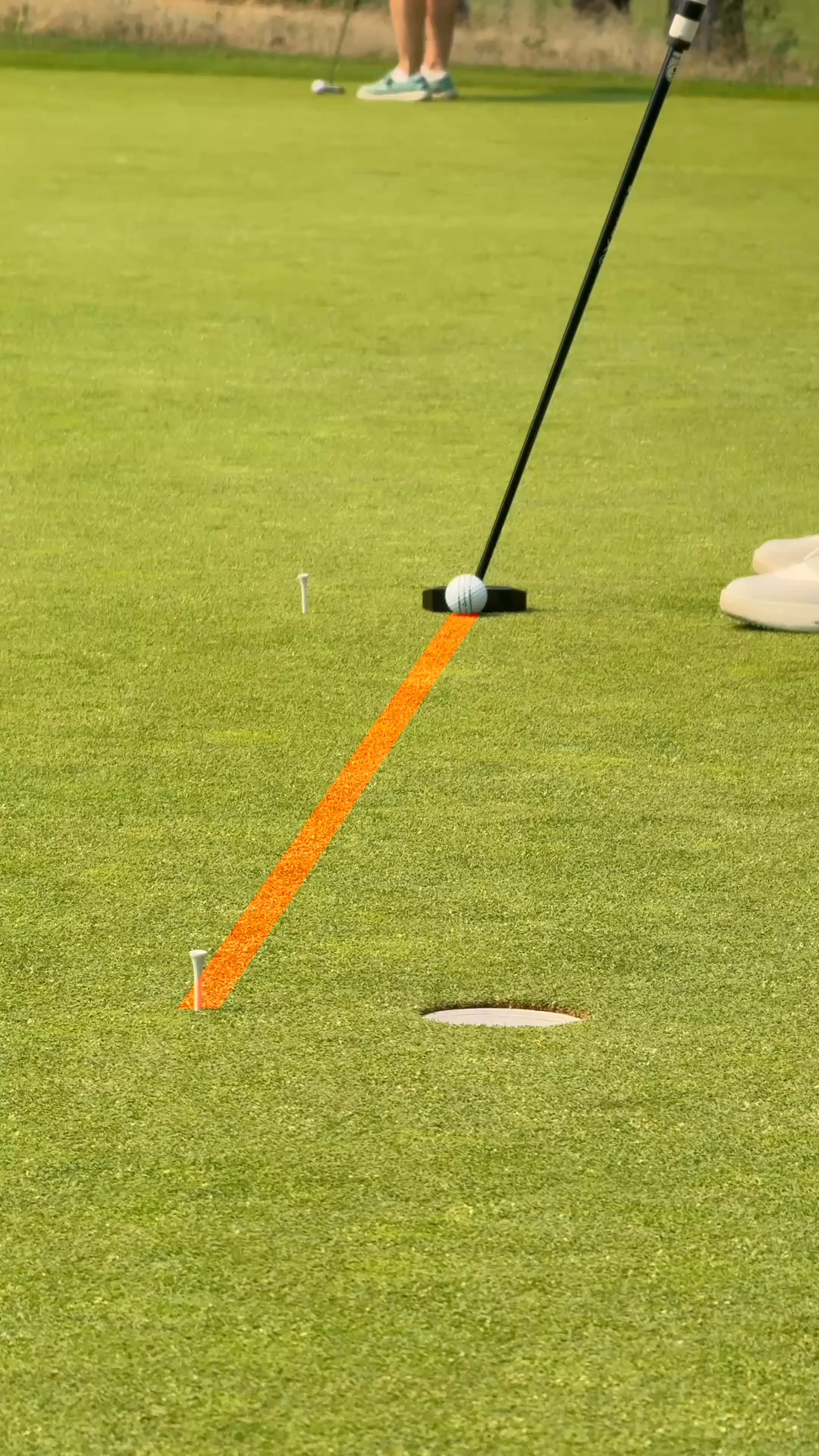 Free Form Golf Facebook ad from Aug 17, 2026