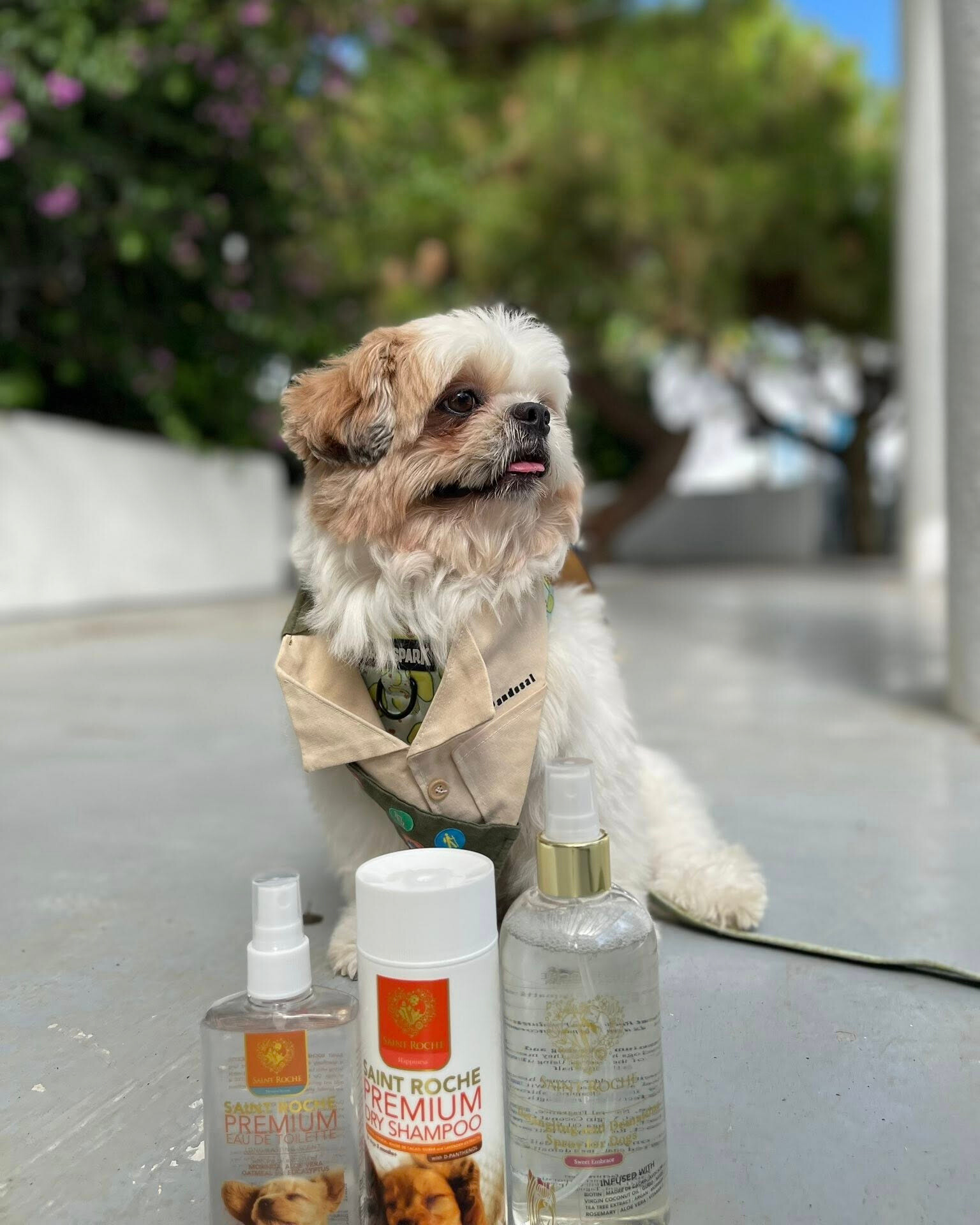 Saint Roche Premium Dog Shampoo Facebook ad