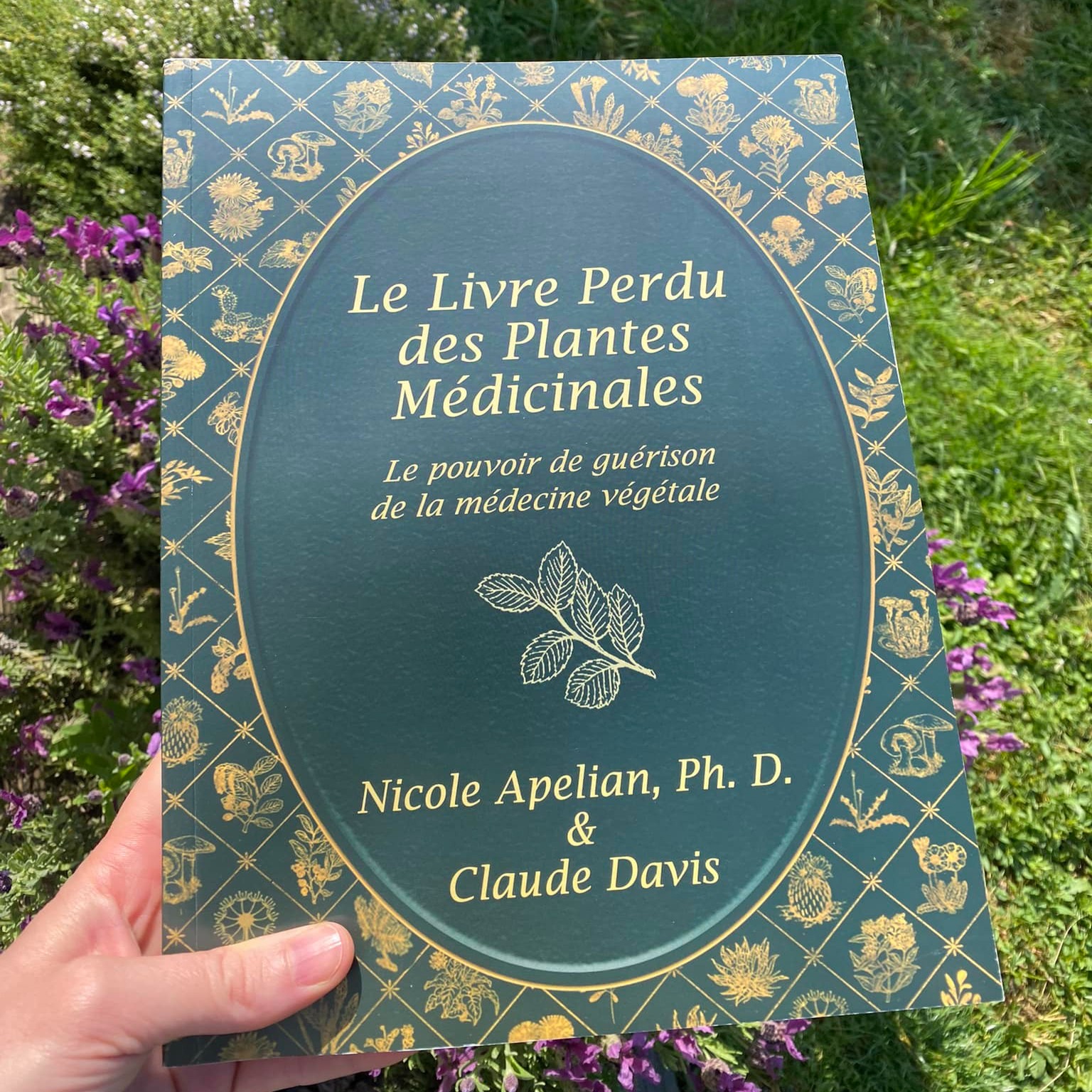 Le Livre Perdu des Plantes Médicinales Facebook ad: Plus de 800 plantes médicinales et remèdes que vous…