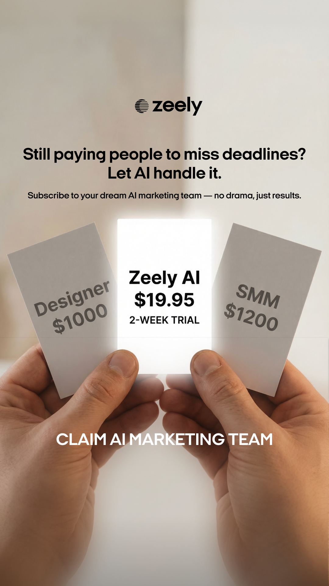 Zeely Facebook ad