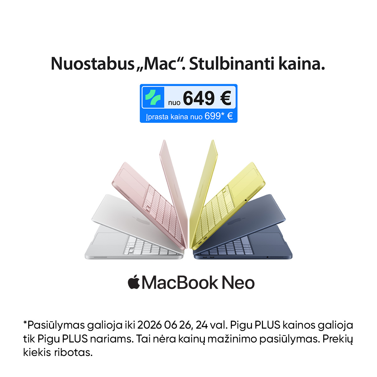 Pigu.lt Facebook ad