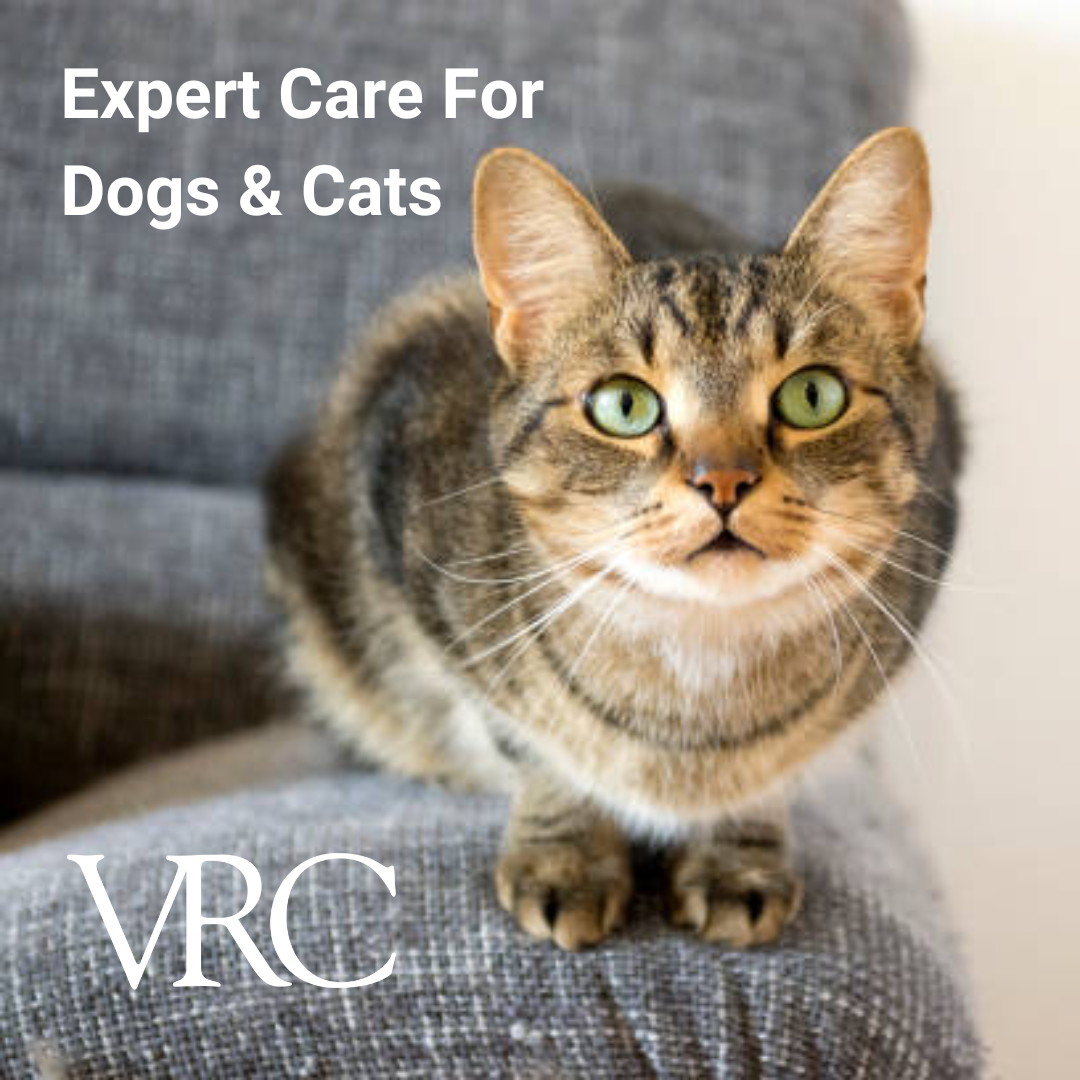 VRC Facebook ad: At VRC, we’re here when your pet needs…