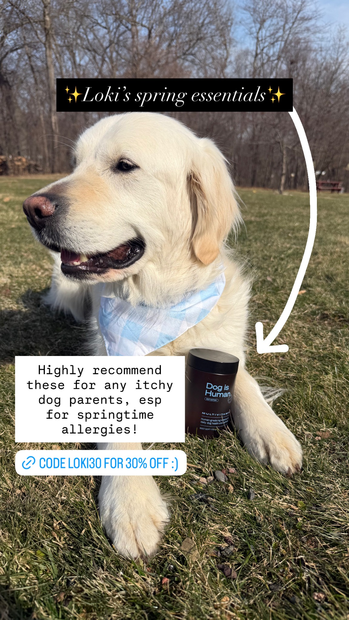 Dog is Human Facebook ad