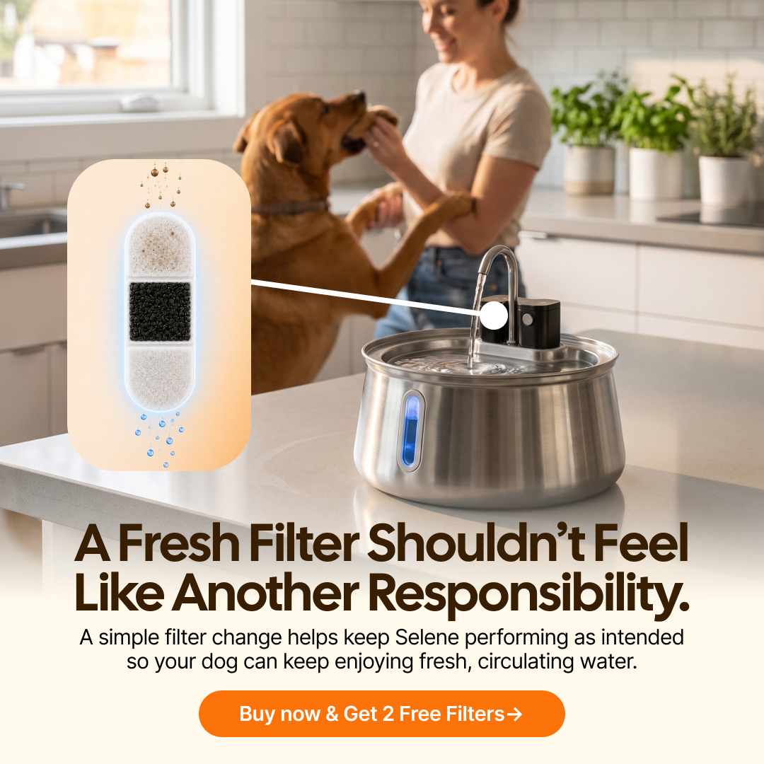 SelenePets Facebook ad