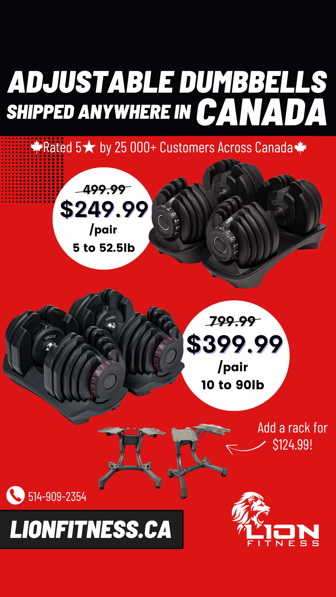 Lion Fitness Facebook ad