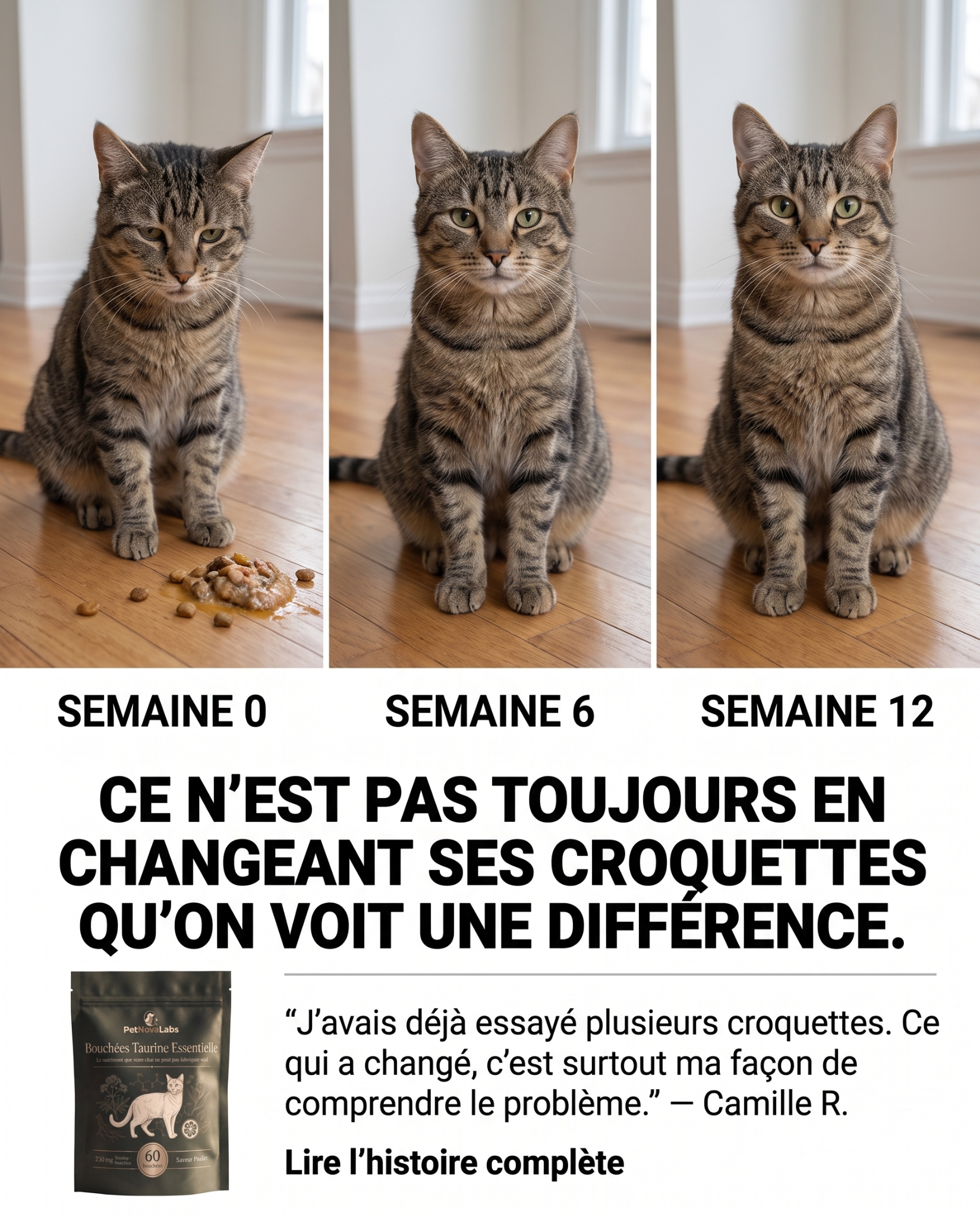 Sophie Martin Facebook ad: STOP: ne changez pas encore ses croquettes