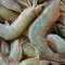 Toong Yang Seafood Supply Sdn Bhd