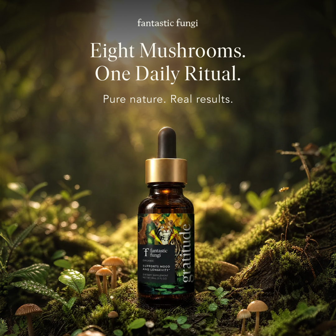 Fantastic Fungi Facebook ad
