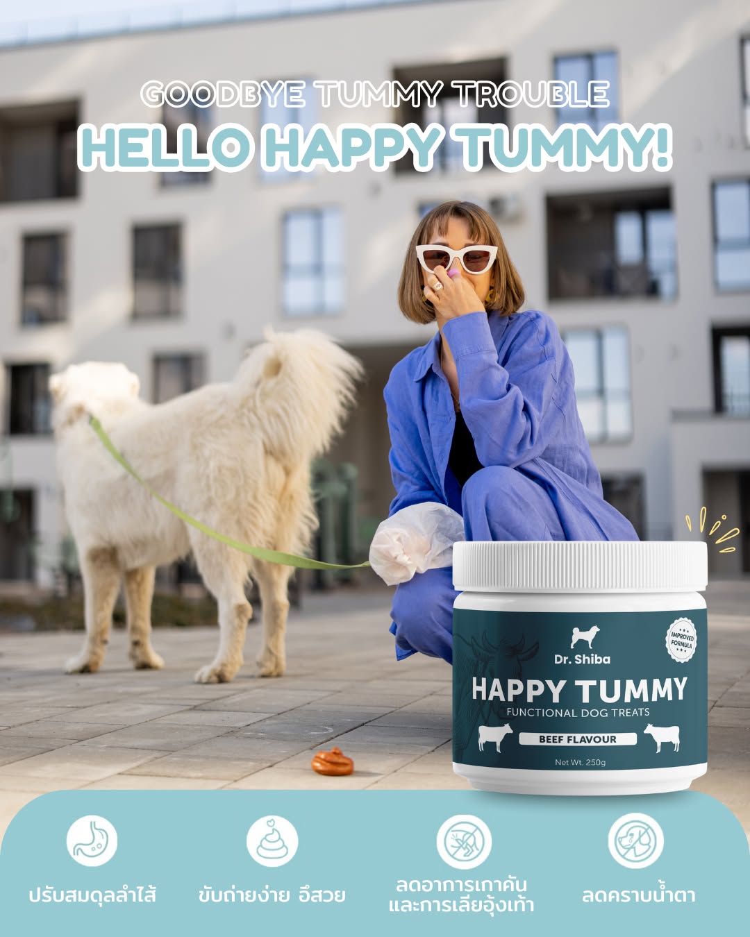 Dr Shiba Facebook ad: ให้ Dr. Shiba Happy Tummy ดูแลลำไส้น้องวันนี้เลย!