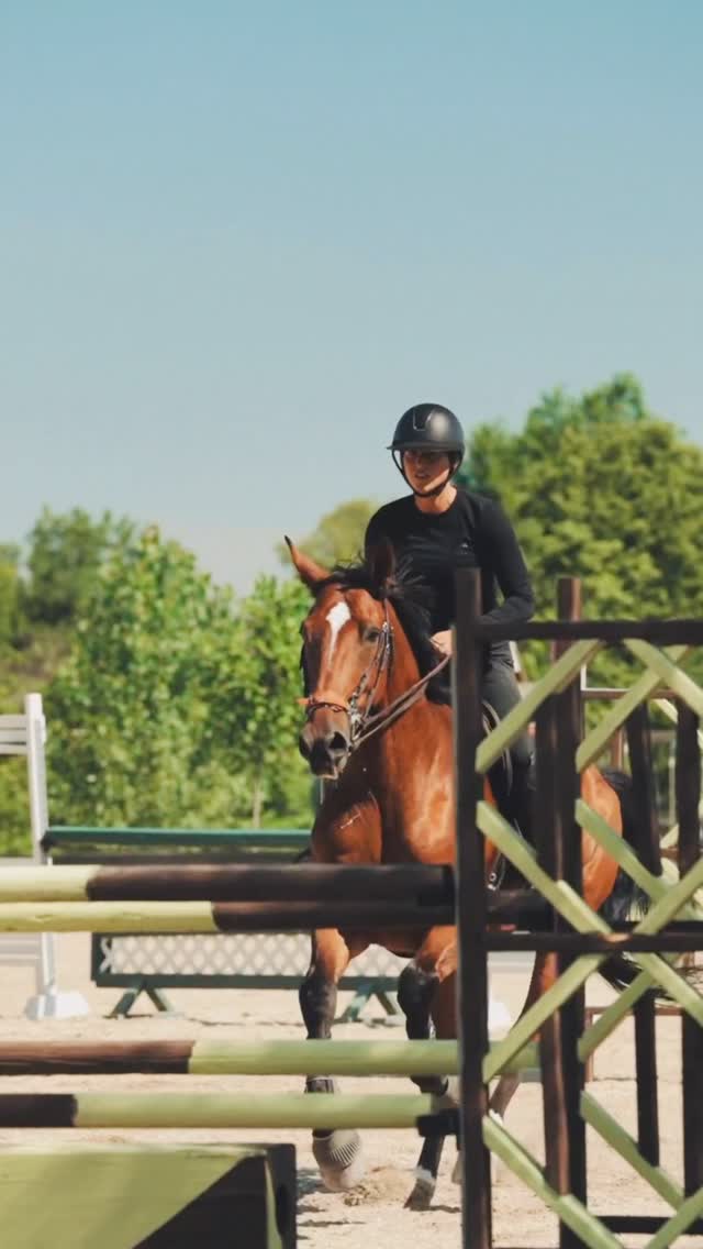 Ride In Style Equestrian Facebook ad: Built with Intention