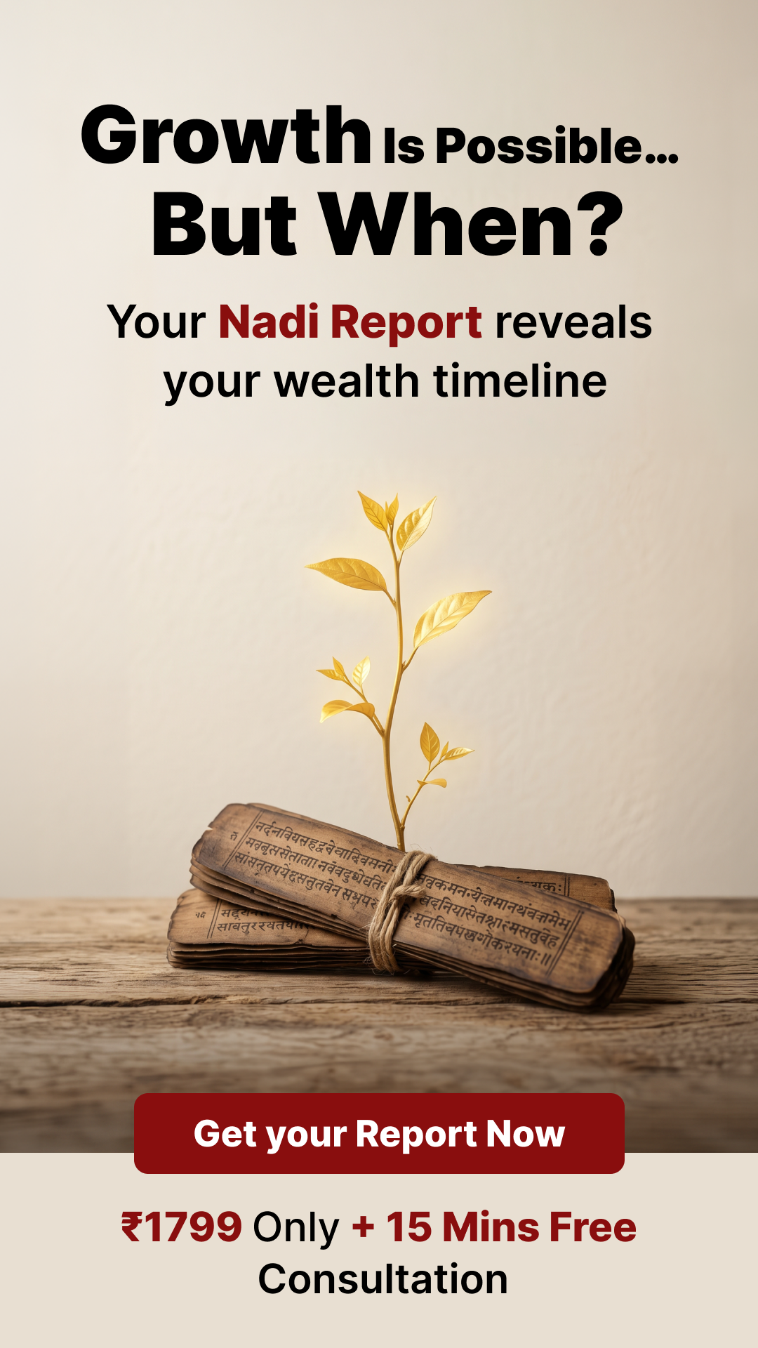 Nadi Astrology Insights Facebook ad