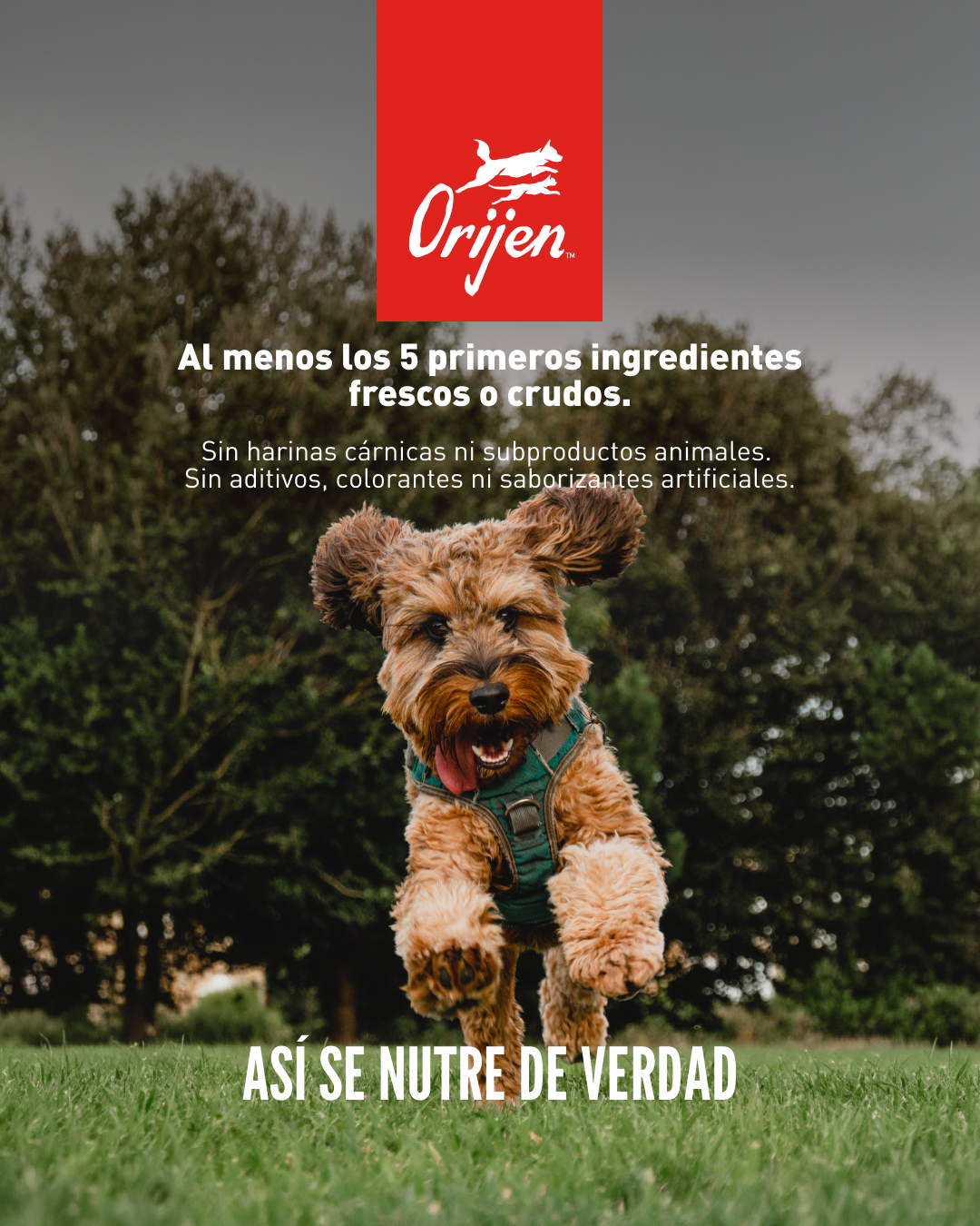 ORIJEN_Chile Facebook ad: La lista de ingredientes no es al azar.