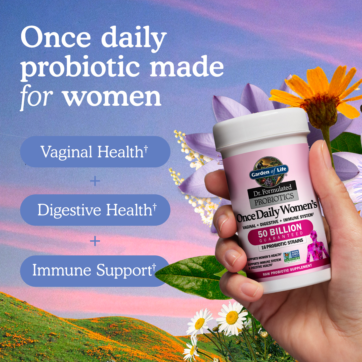 Veggiekins Facebook ad from May 18, 2026