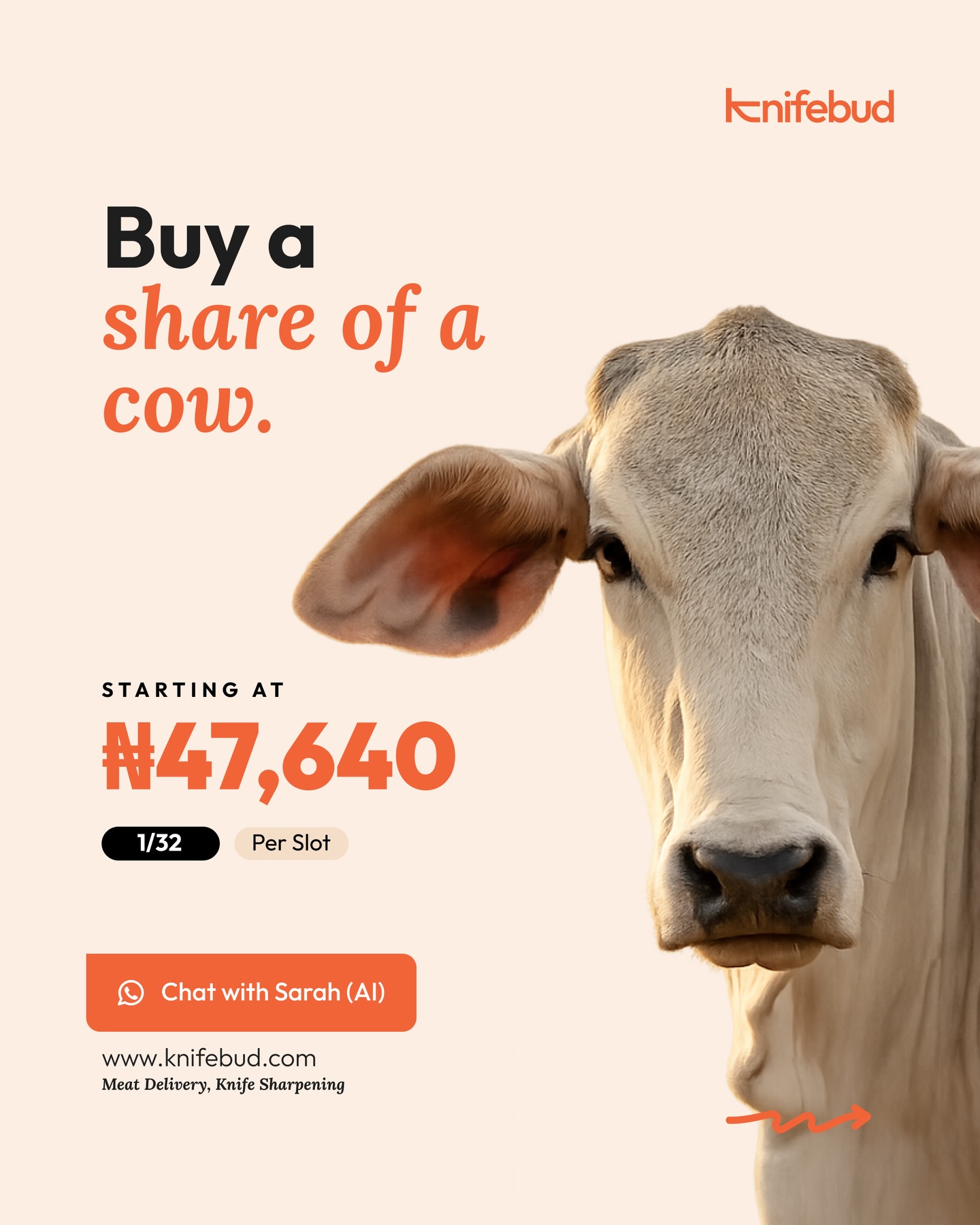 Knifebud - Meat Squeezy Facebook ad: Buying meat every week?