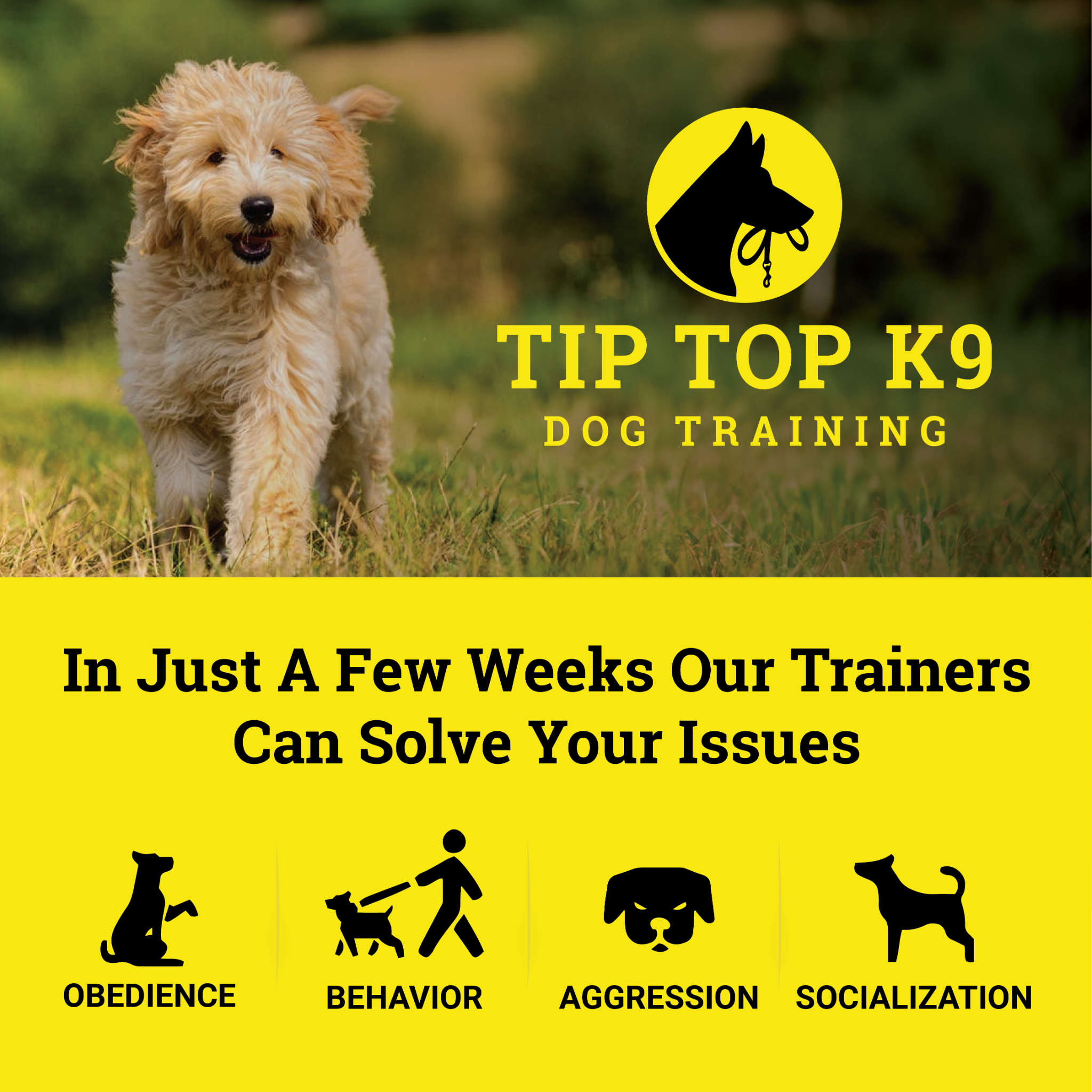 Tip Top K9 Facebook ad: See Results With Just $1 - Tip Top K9 Dog Training